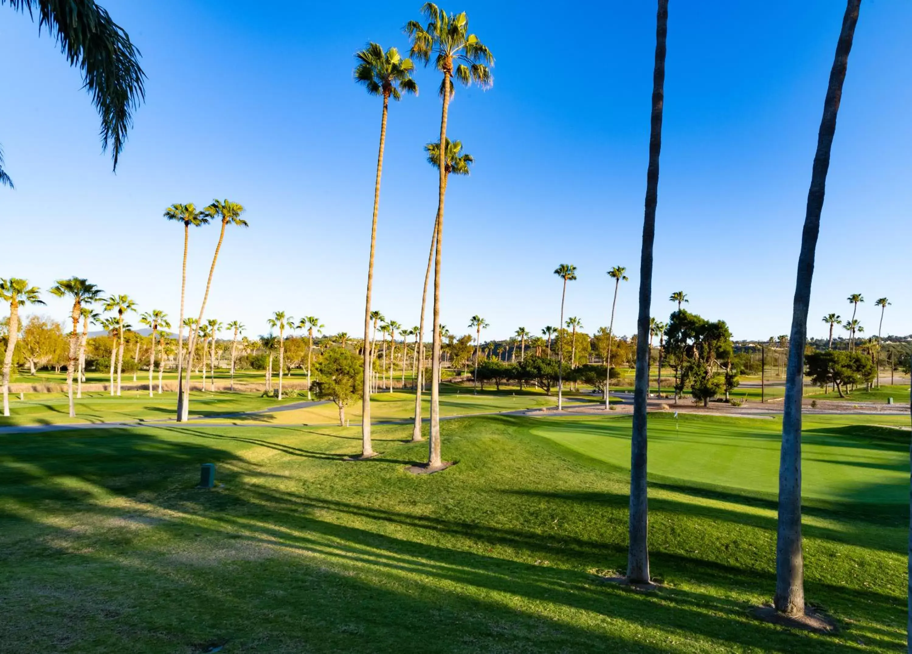 Golfcourse in Morgan Run Resort