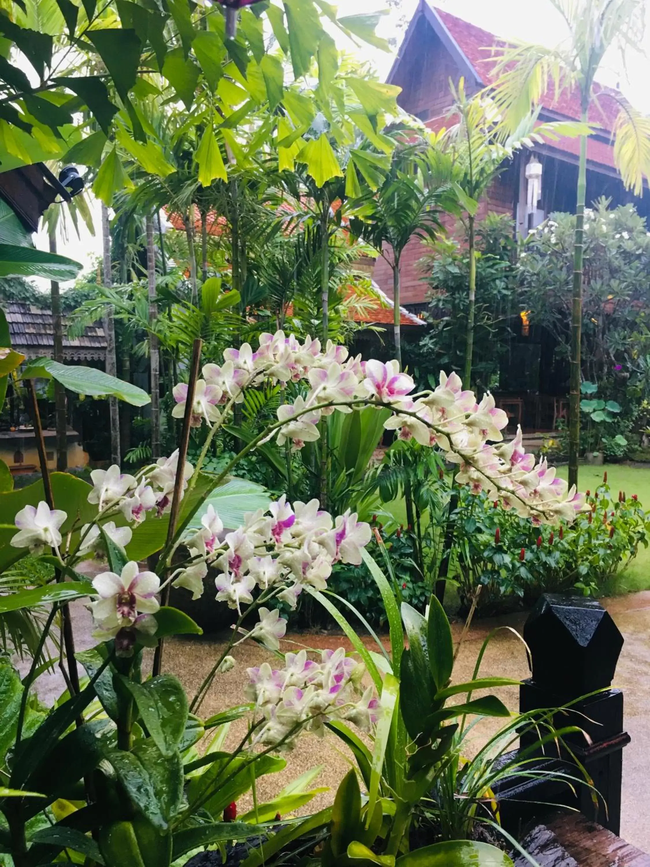 Garden in Hongkhao Village