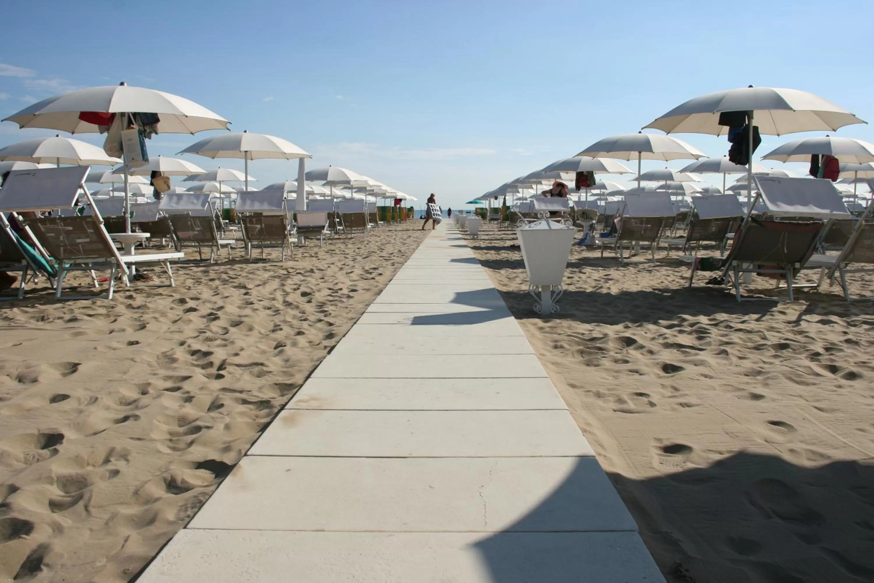 Activities in Hotel Kim