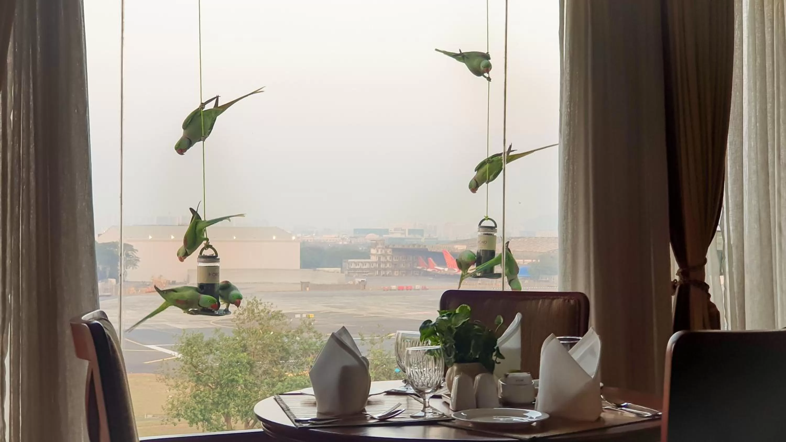 Restaurant/places to eat in The Orchid Hotel Mumbai Vile Parle