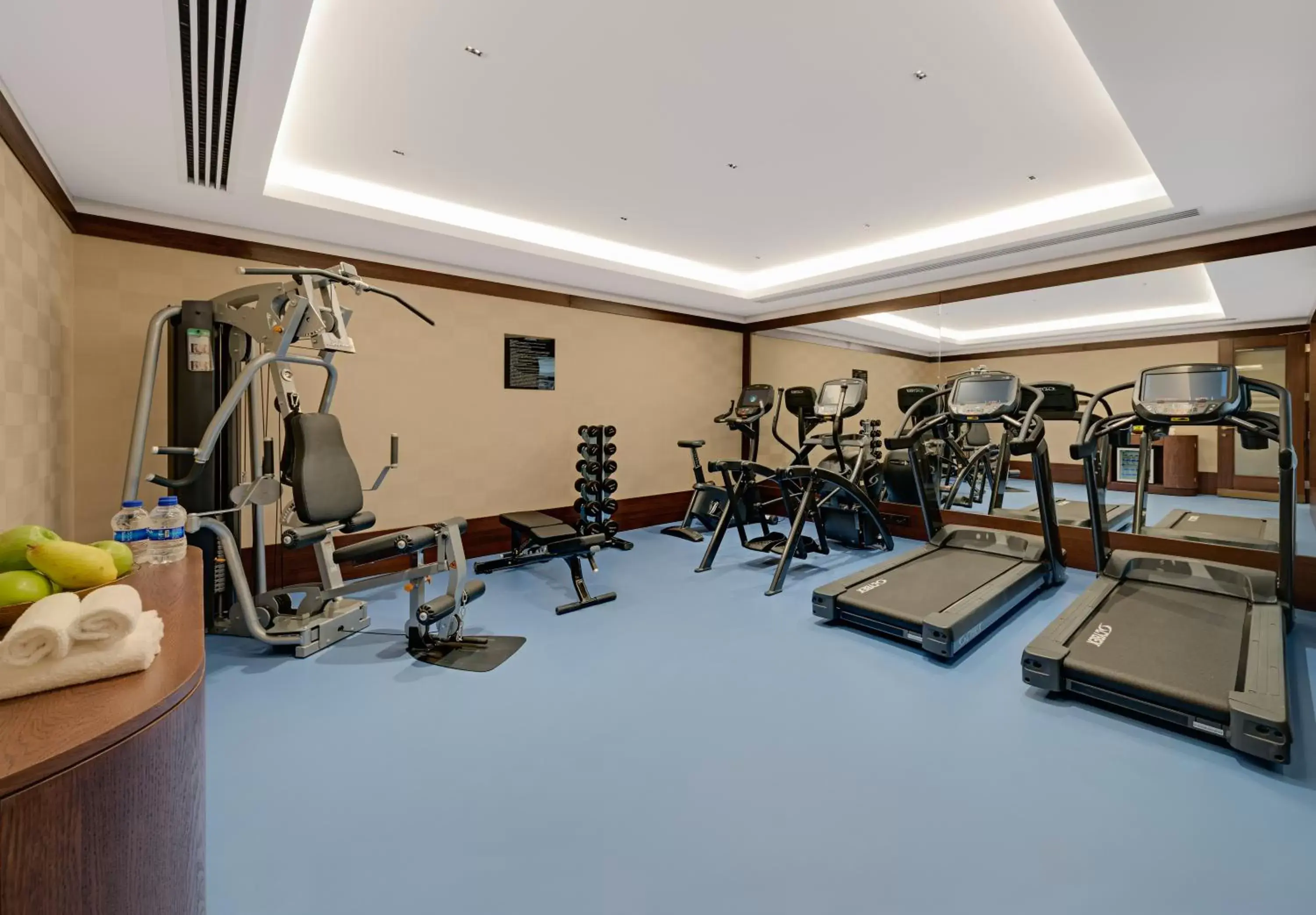 Fitness centre/facilities in The Galata Hotel Istanbul - MGallery Collection Fitness centre/facilities in The Galata Hotel Istanbul - MGallery Collection