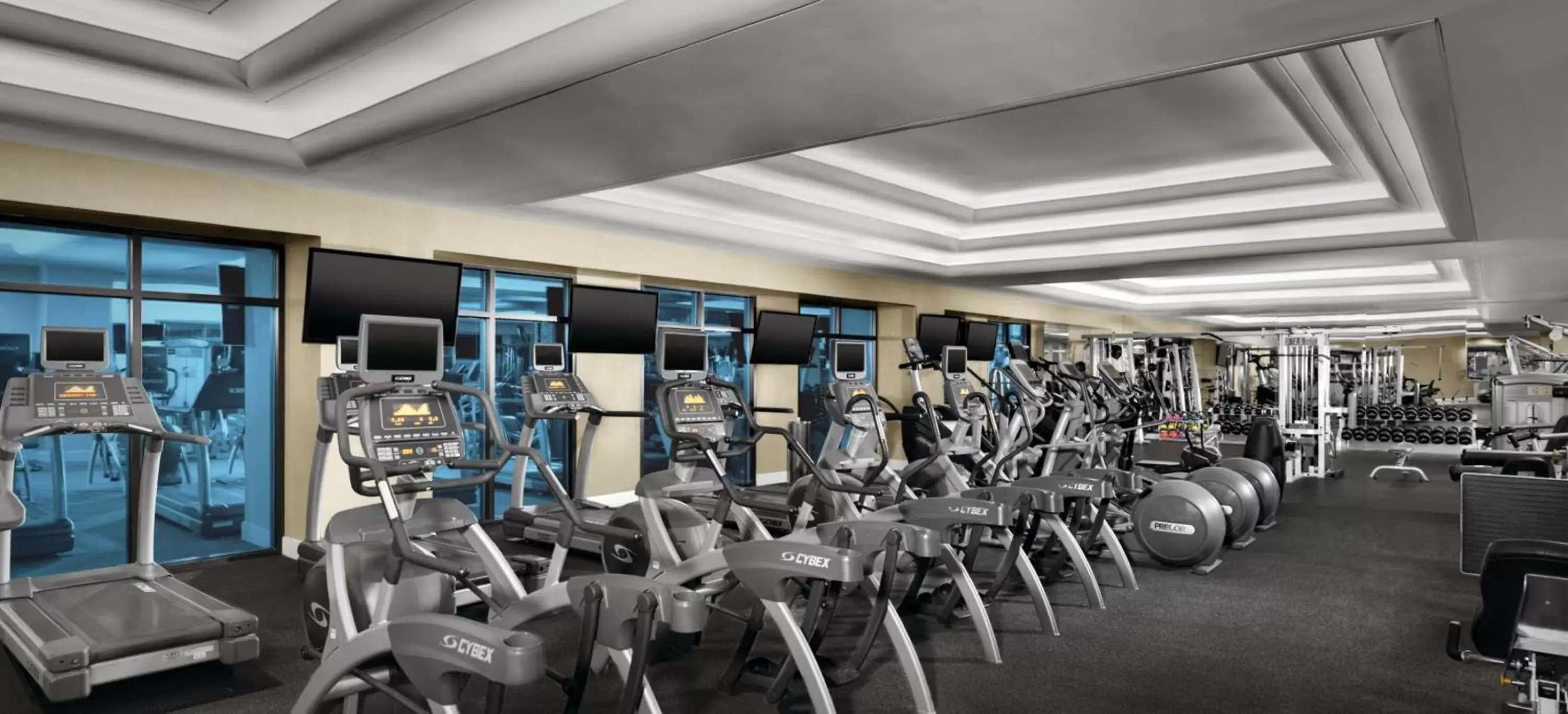 Fitness centre/facilities, Fitness Center/Facilities in Luxor