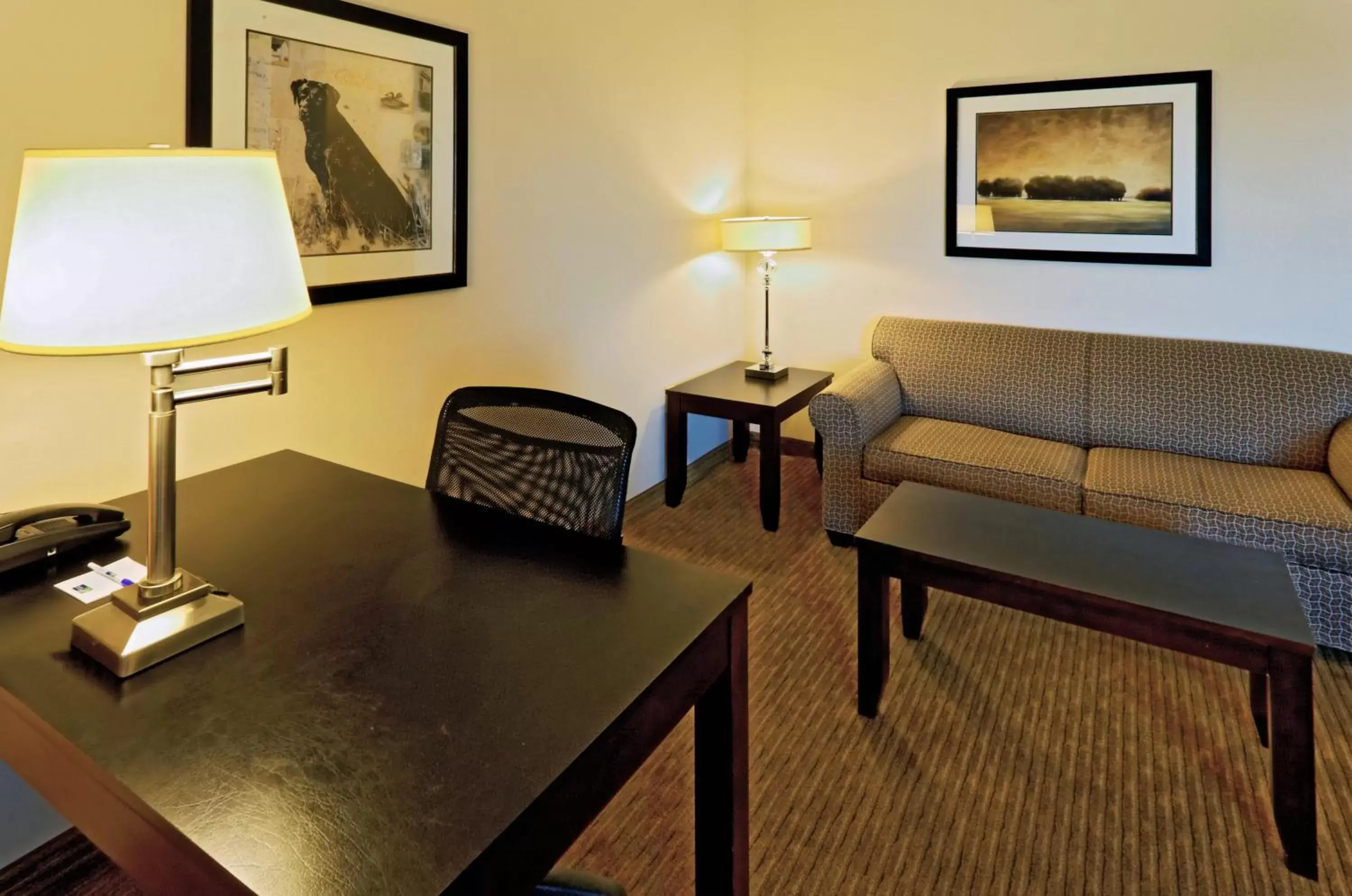 Photo of the whole room, Seating Area in Holiday Inn Express Hotel & Suites Cleburne, an IHG Hotel