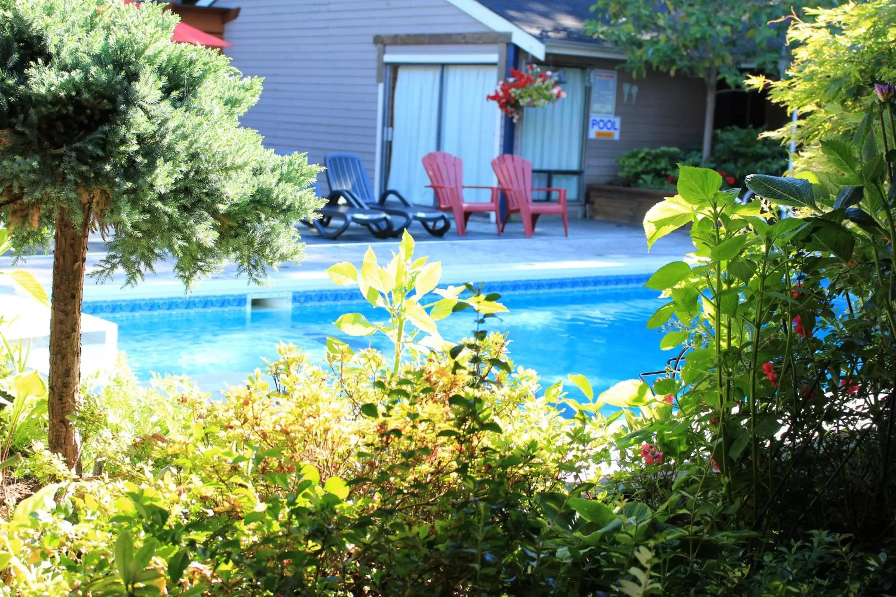 Day, Swimming Pool in Sunshine Lodge Inn