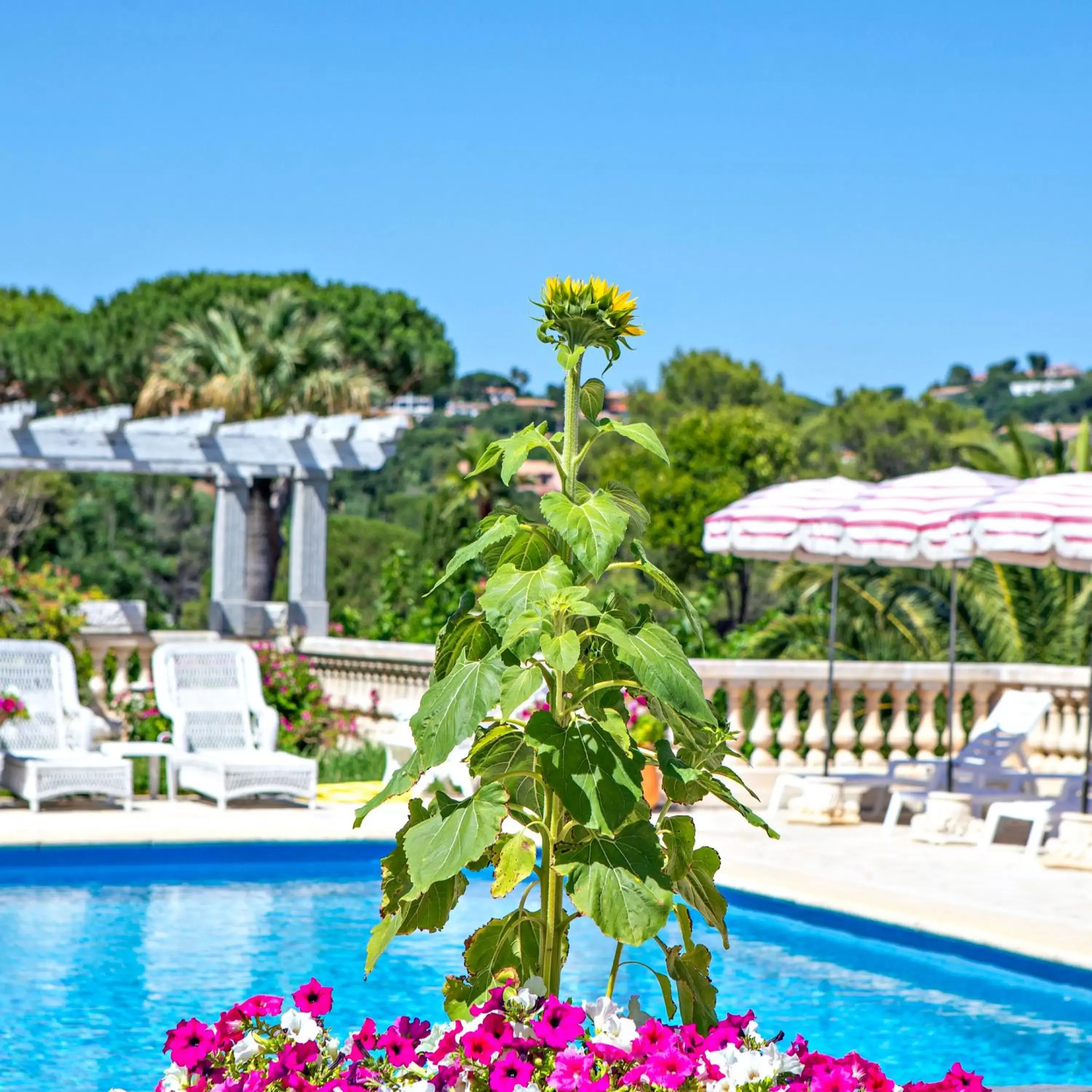 Swimming Pool in Le Château de Mei Lese