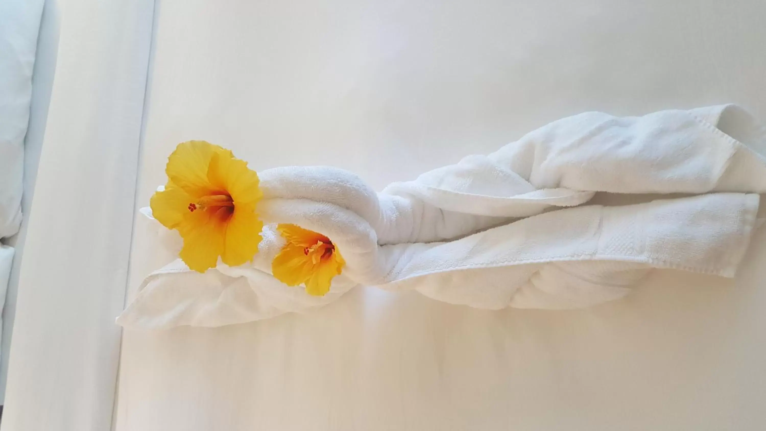 Decorative detail, Bed in Radisson Hotel Trinidad