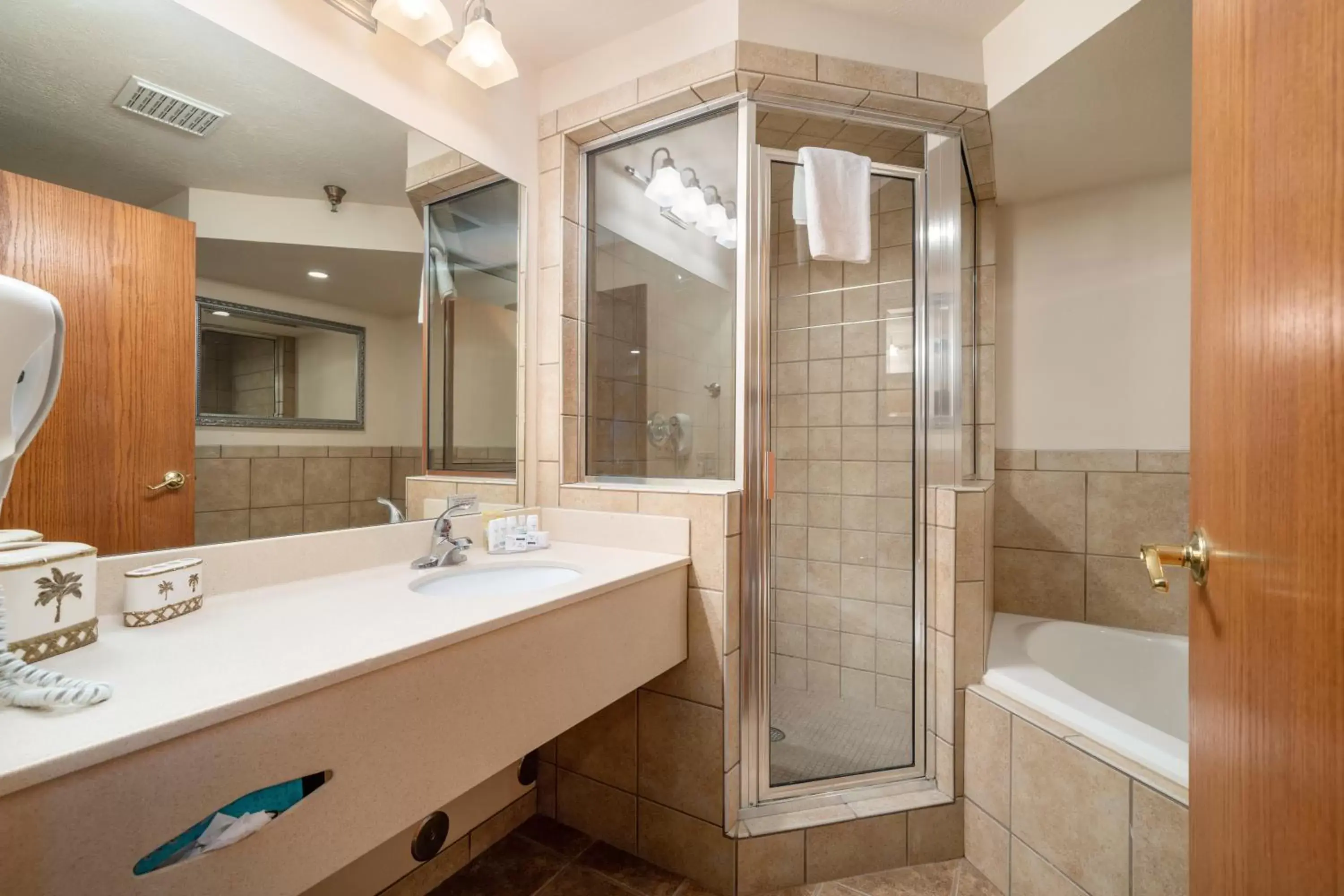 Bathroom in Ramada by Wyndham Sioux Falls Airport - Waterpark Resort & Event Center