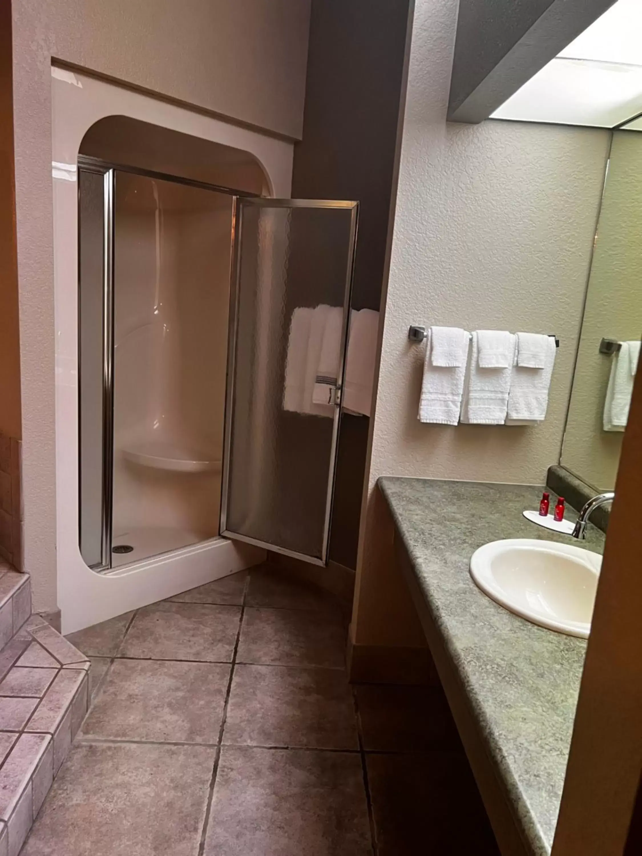 Shower, Bathroom in Apple Tree Inn