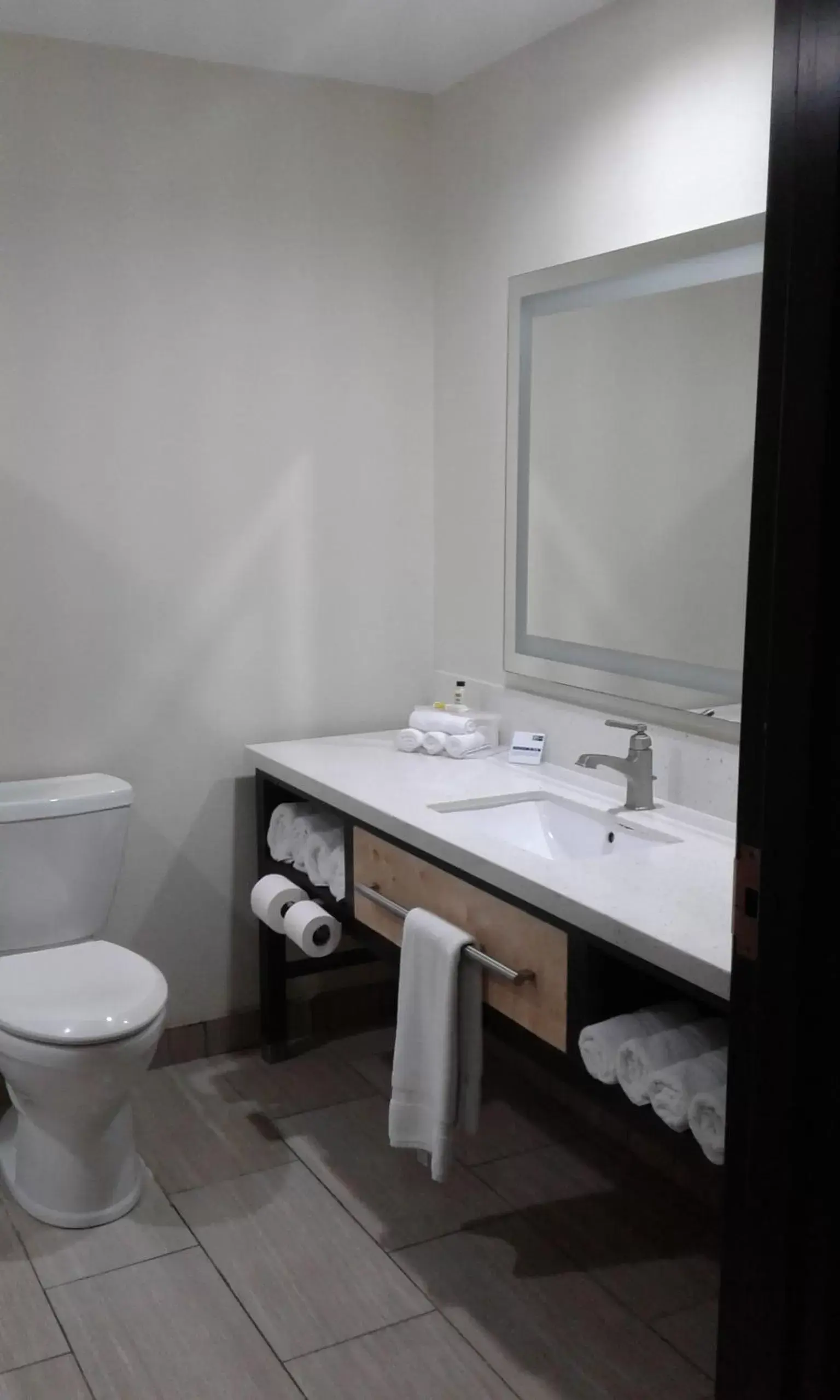 Bathroom in Holiday Inn Express & Suites Raymondville, an IHG Hotel