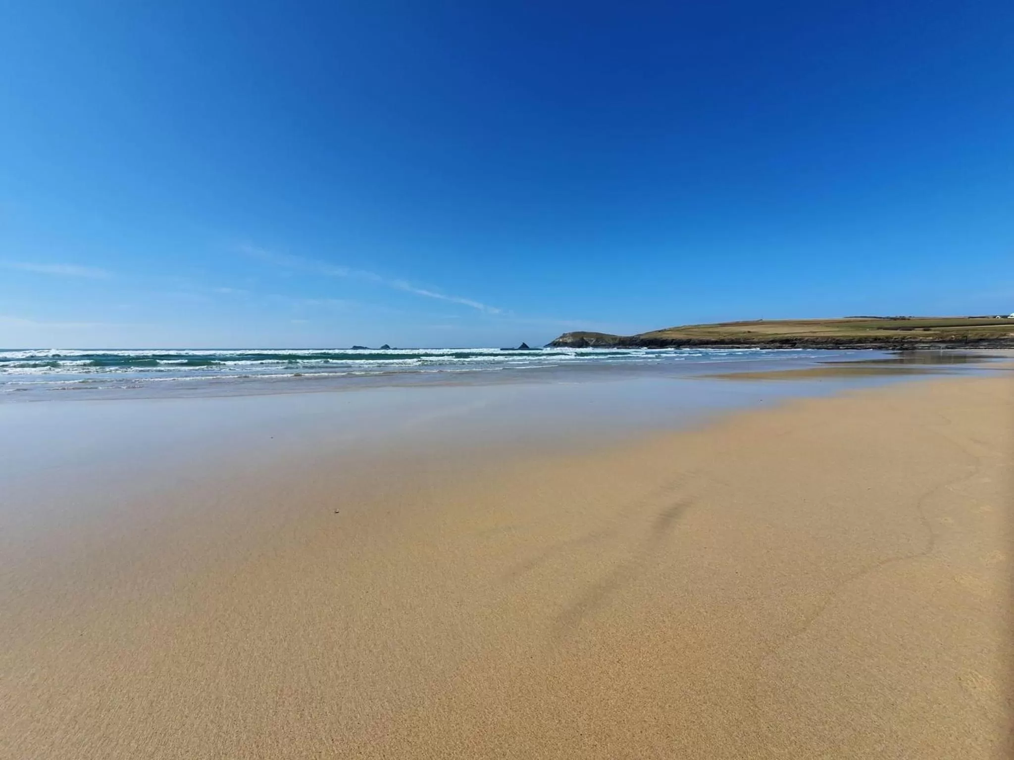 Beach in The Sapling
