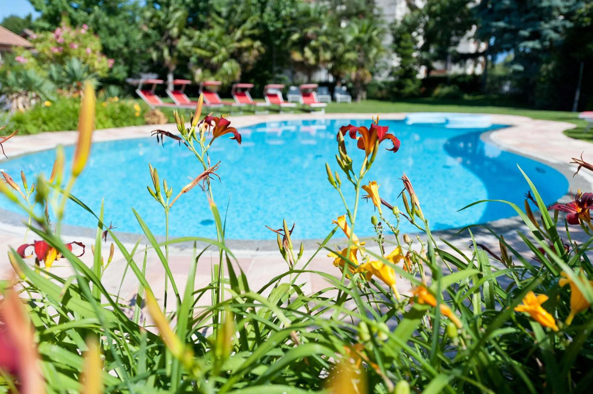 Swimming pool in Business Resort Parkhotel Werth
