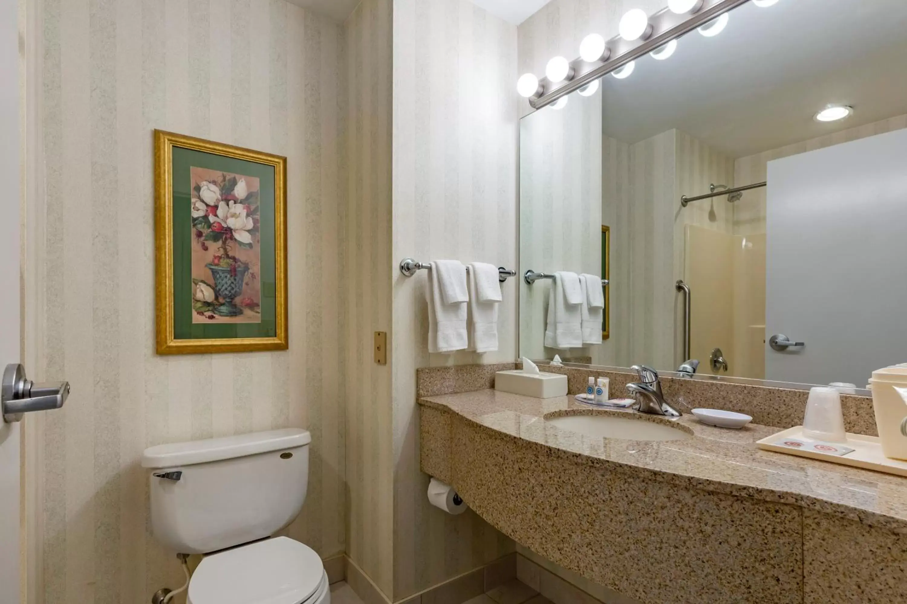 Bathroom in Comfort Inn & Suites East Greenbush - Albany