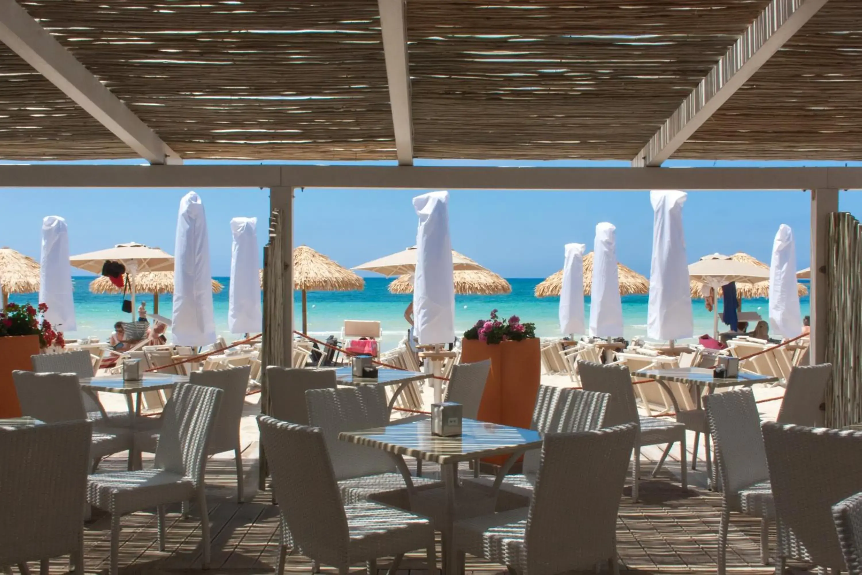 Beach, Restaurant/Places to Eat in Conchiglia Azzurra Hotel & Beach