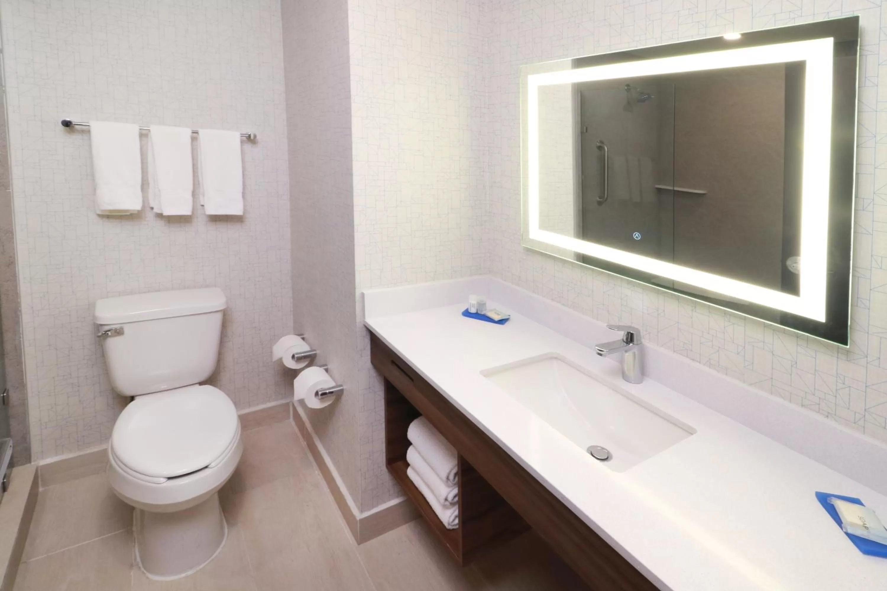 Bathroom in Holiday Inn Express - Monterrey - Fundidora by IHG