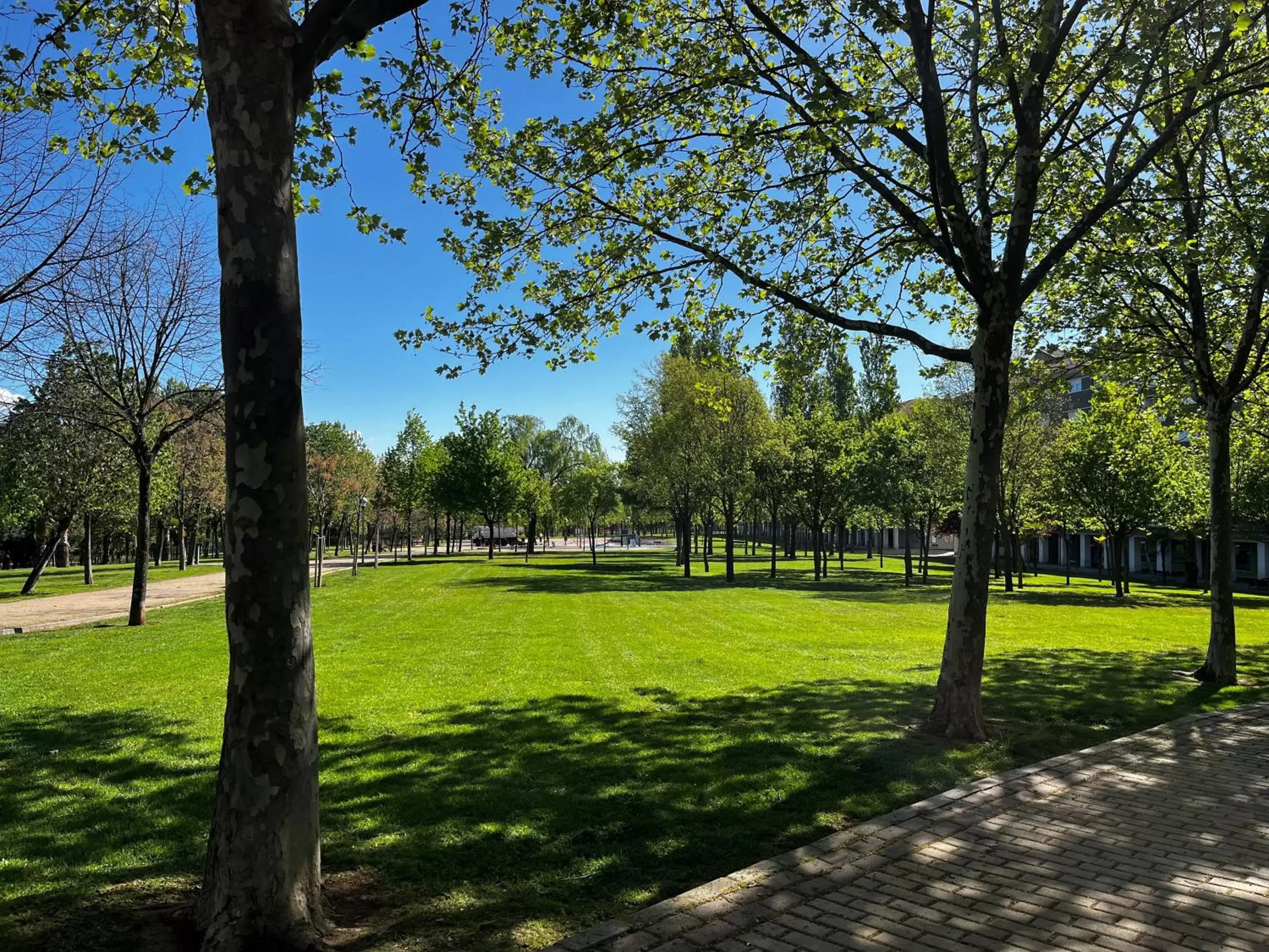 Area and facilities in Hotel Logroño Parque