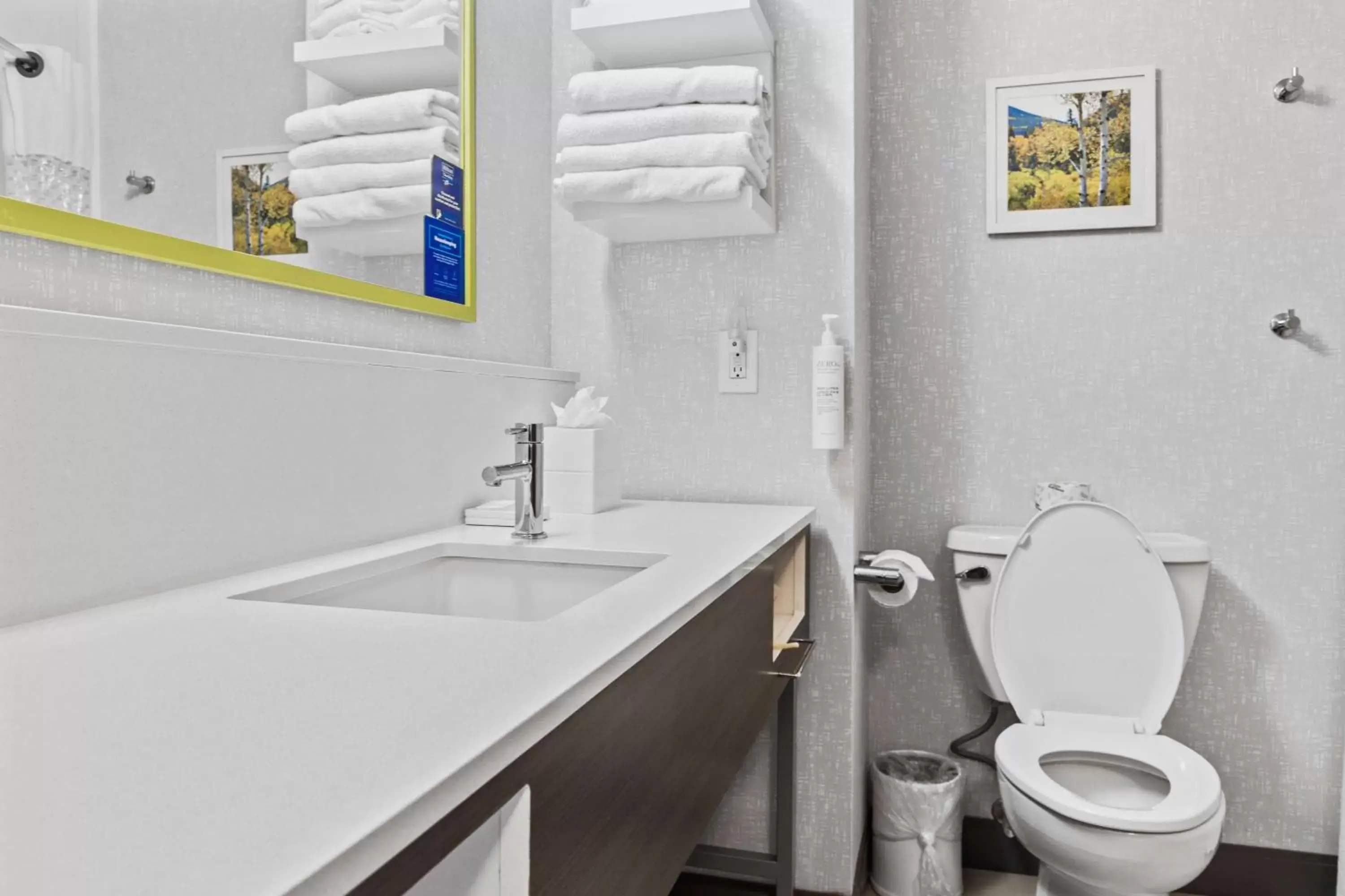 Bathroom in Hampton Inn & Suites Colorado Springs-Air Force Academy/I-25 North