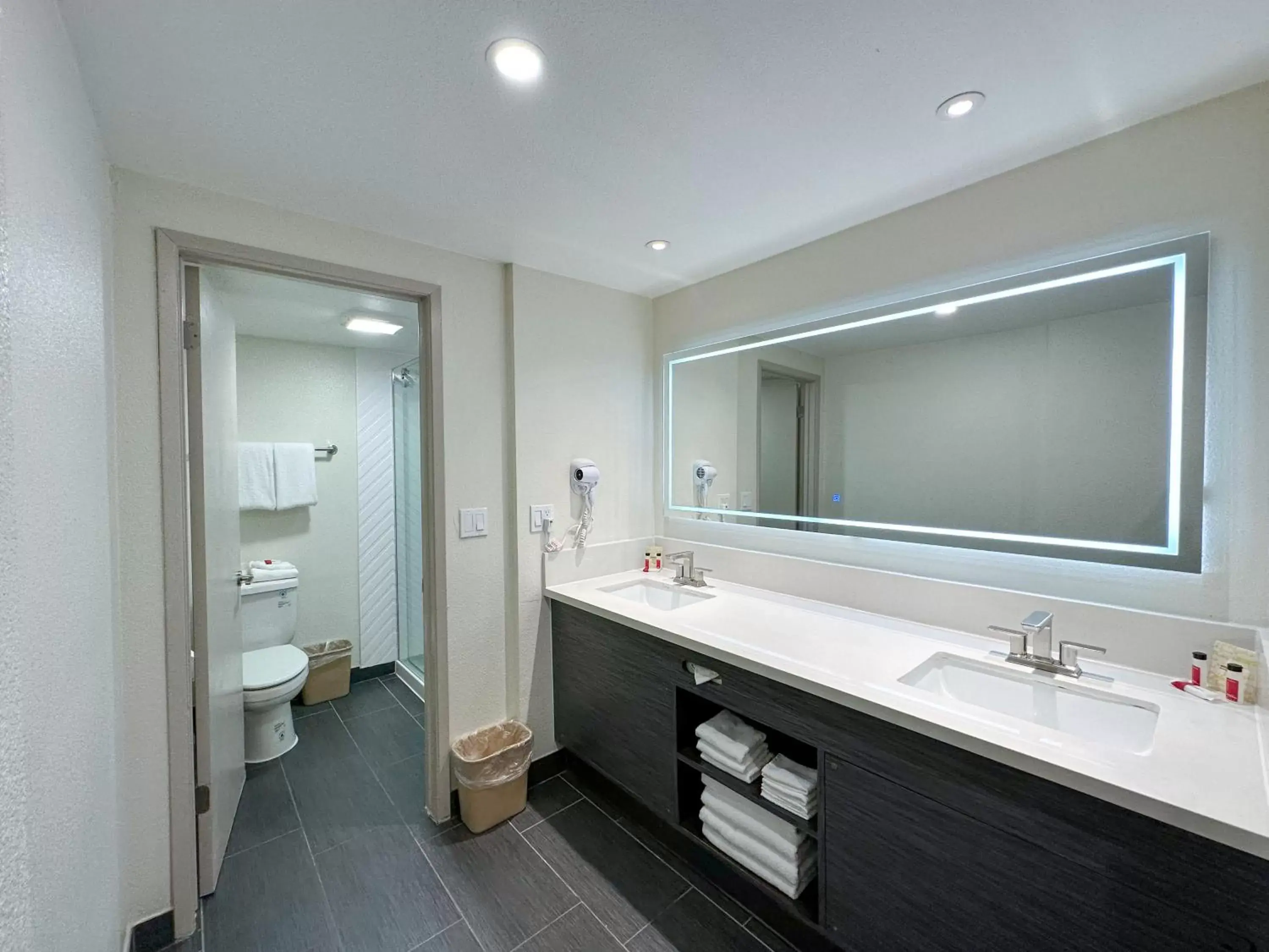 Shower, Bathroom in Ramada by Wyndham Anaheim Convention Center