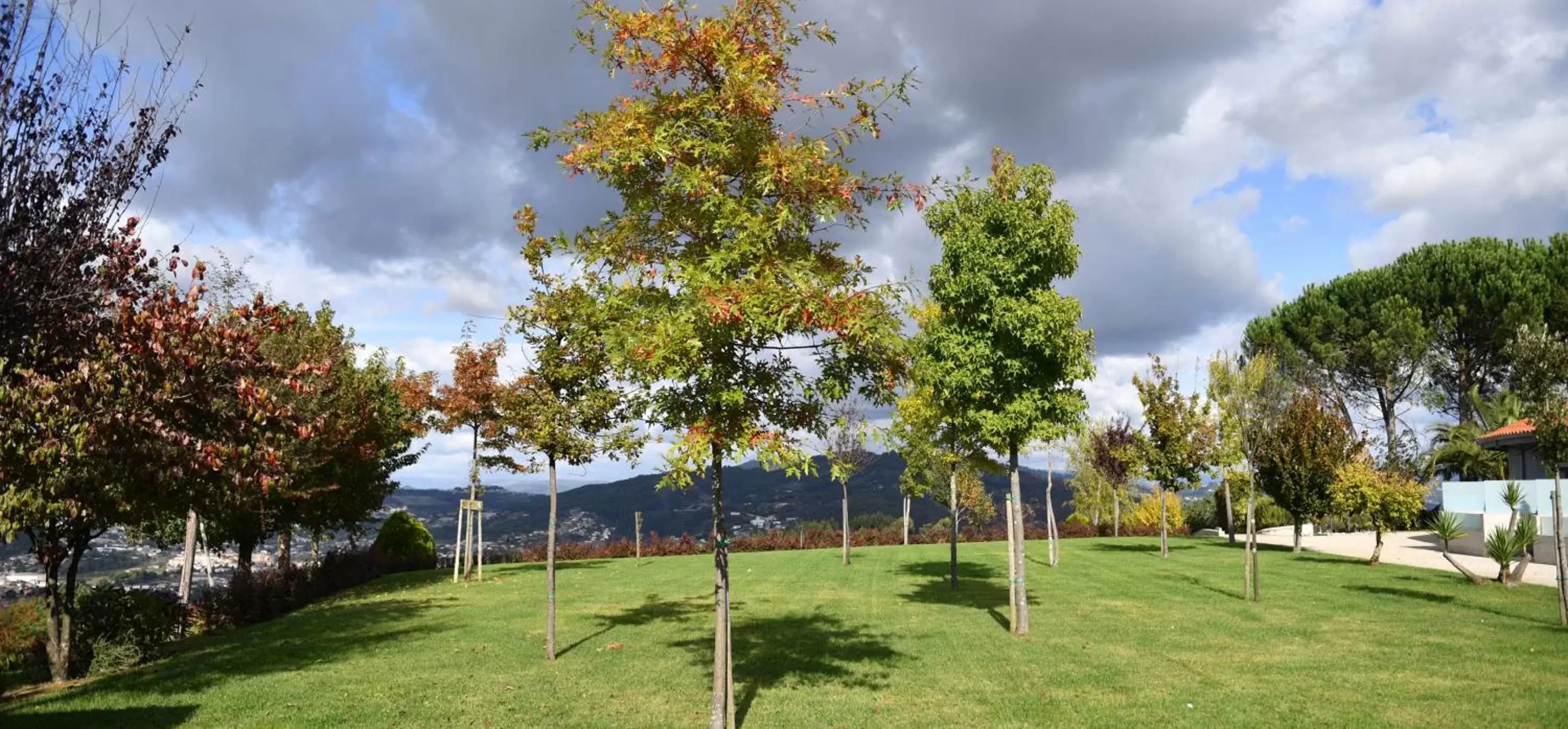 Garden in Casa das Carpas