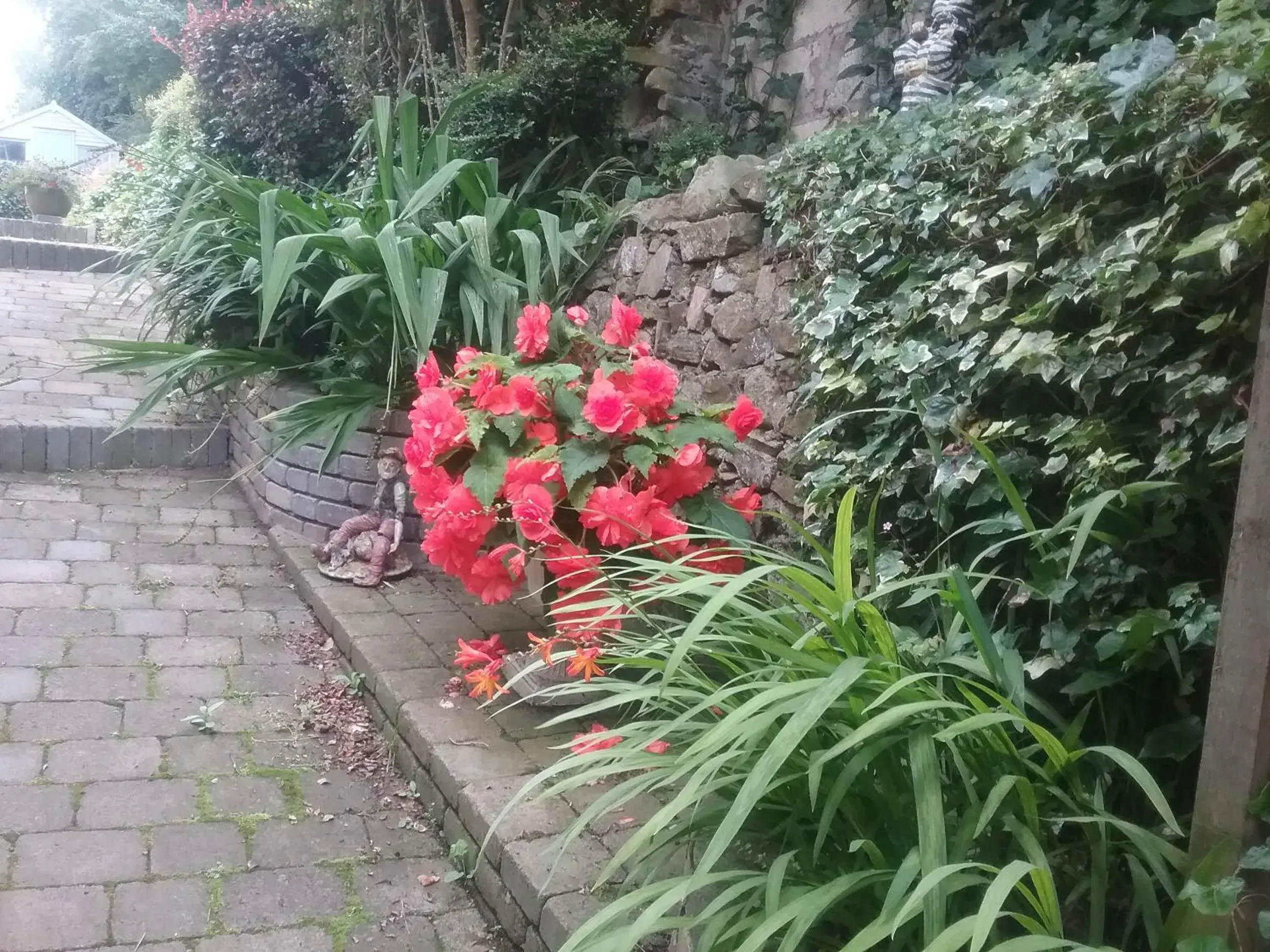 Patio, Garden in Ashleigh Guest House