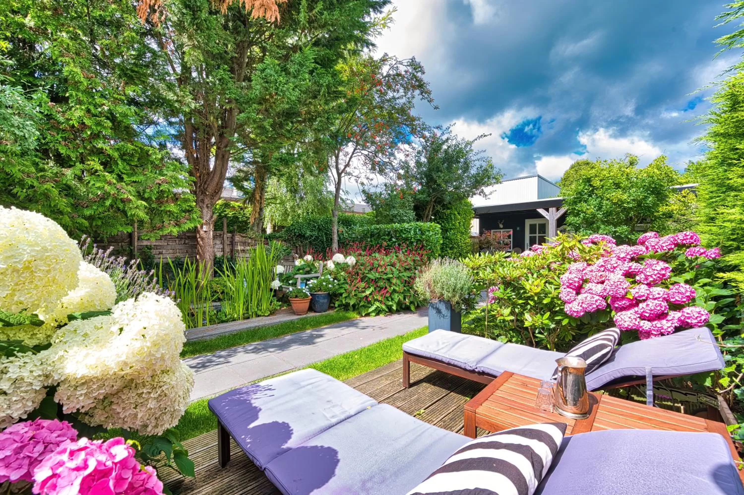 Garden in B&B Hoofddorp
