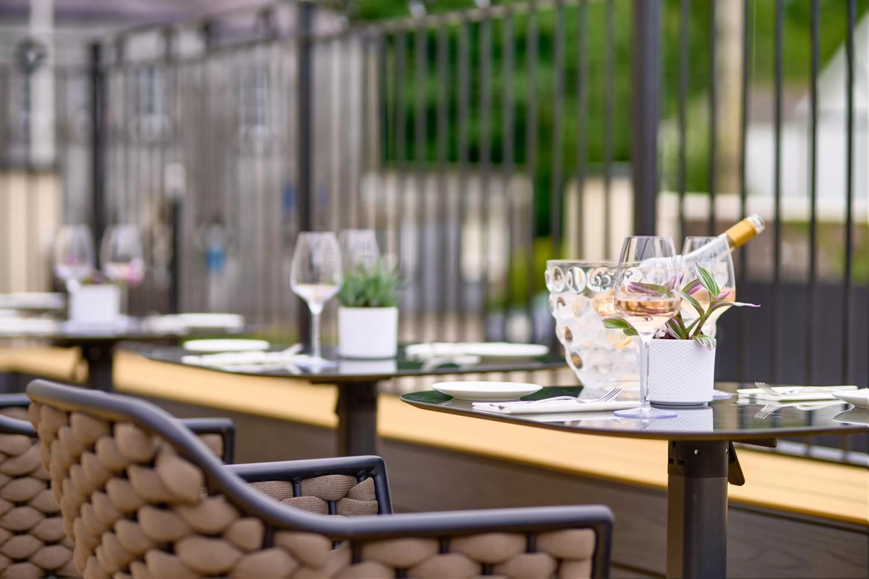 Restaurant/places to eat in The Lansdowne Kenmare