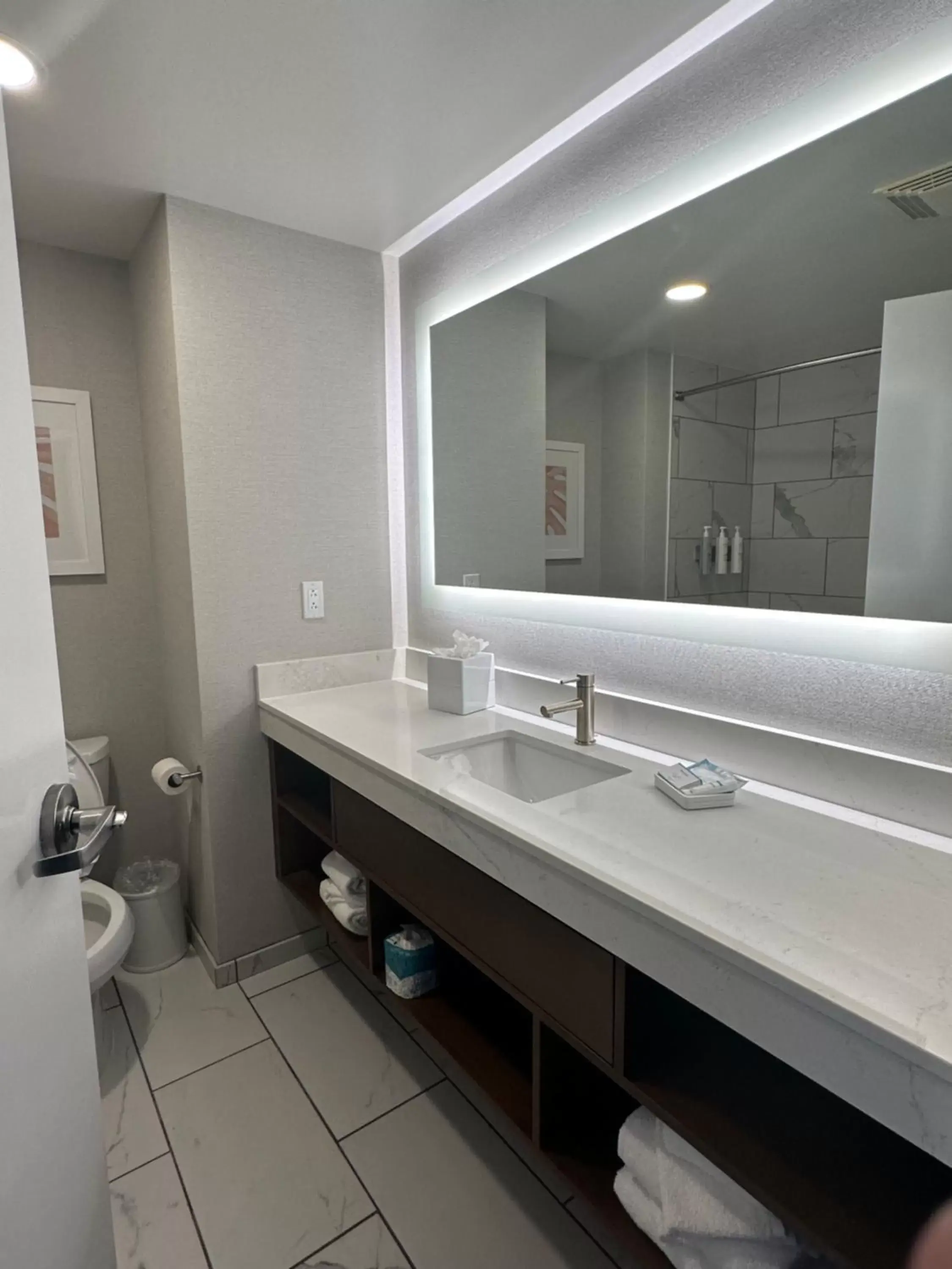 Toilet, Bathroom in Hampton Inn Virginia Beach-Oceanfront South