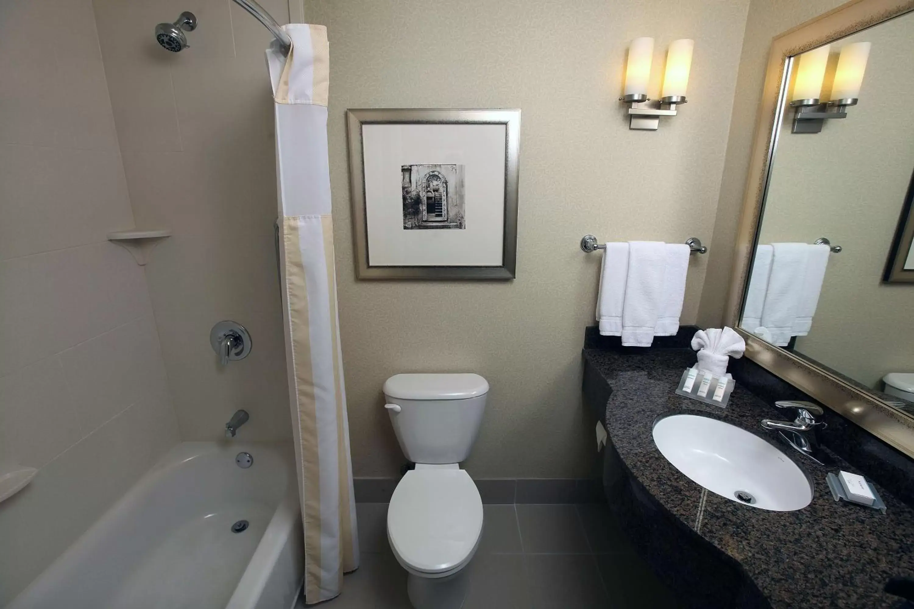 Bathroom in Hilton Garden Inn Sioux Falls South