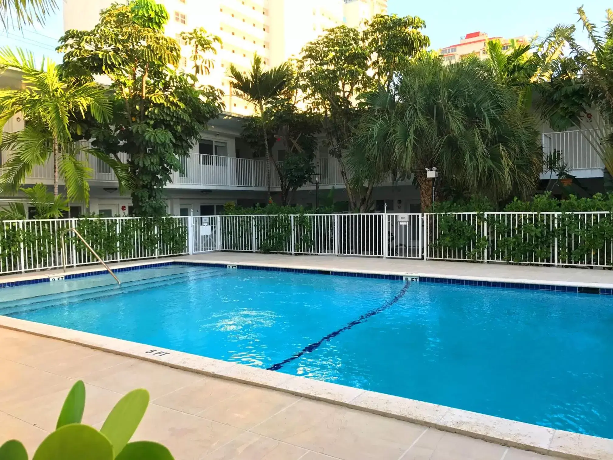 Property building, Swimming Pool in Park Royal Miami Beach