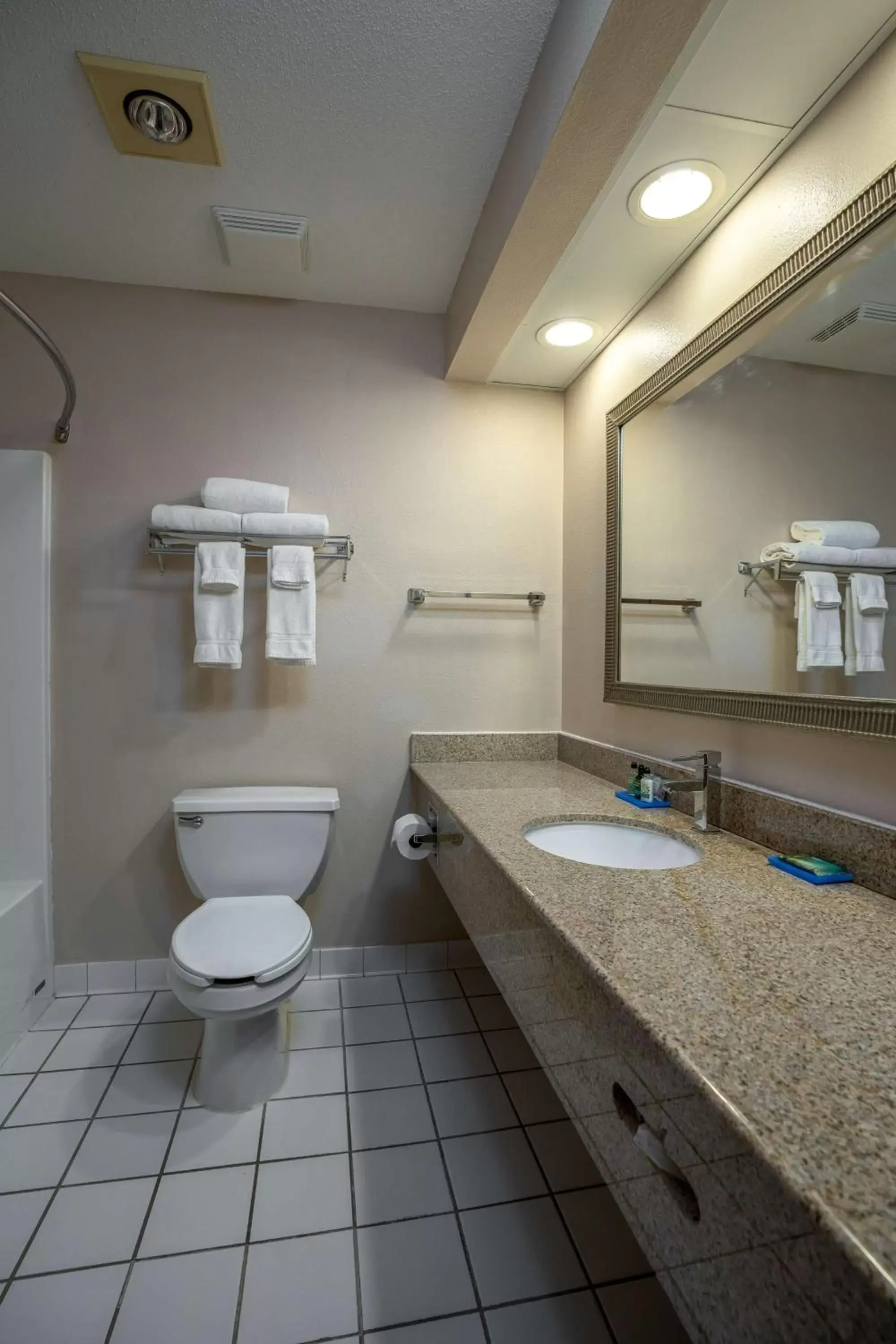 Bathroom in GrandStay Hotel & Suites Pella