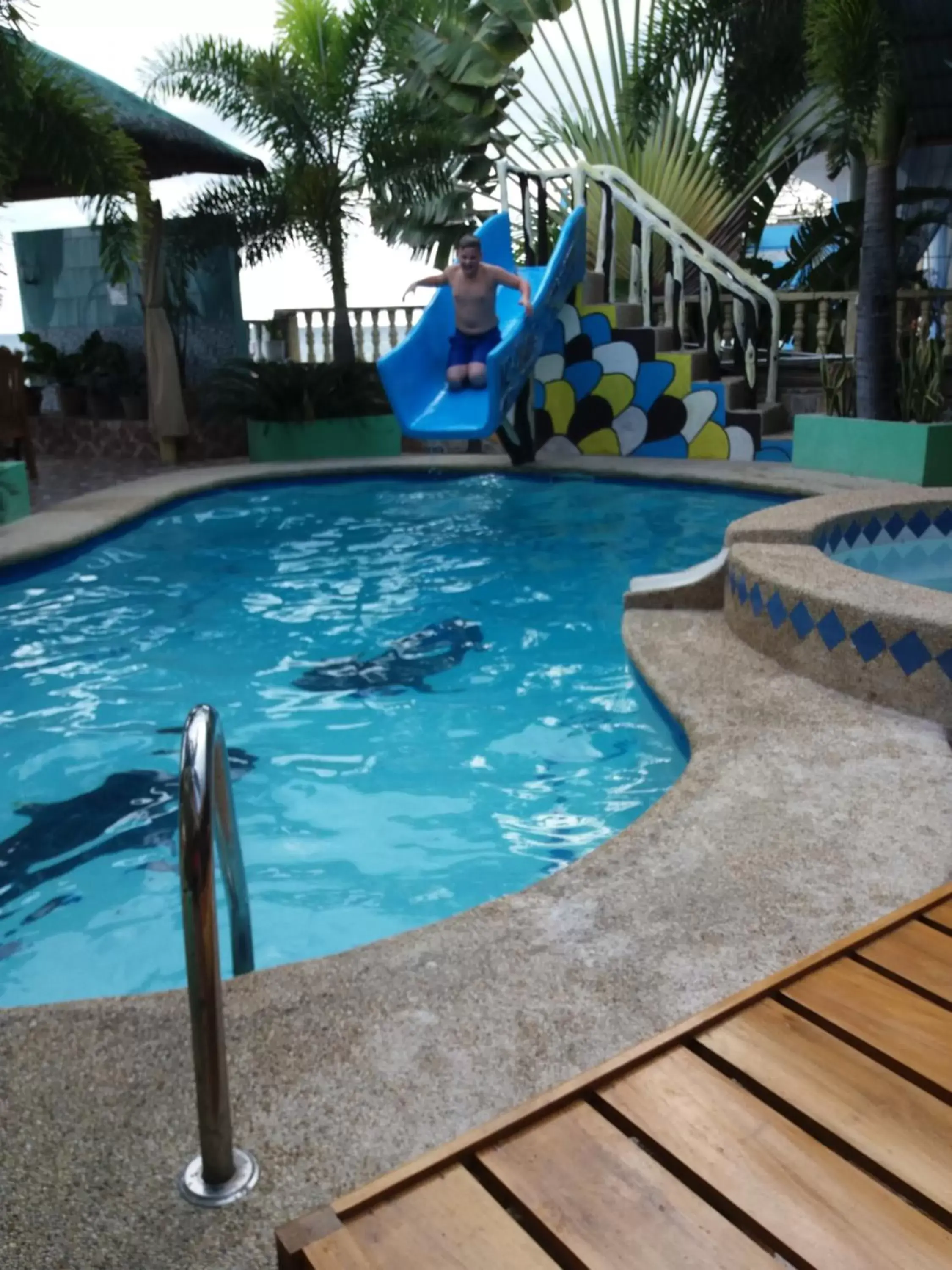 Swimming Pool in Sascha's Resort Oslob