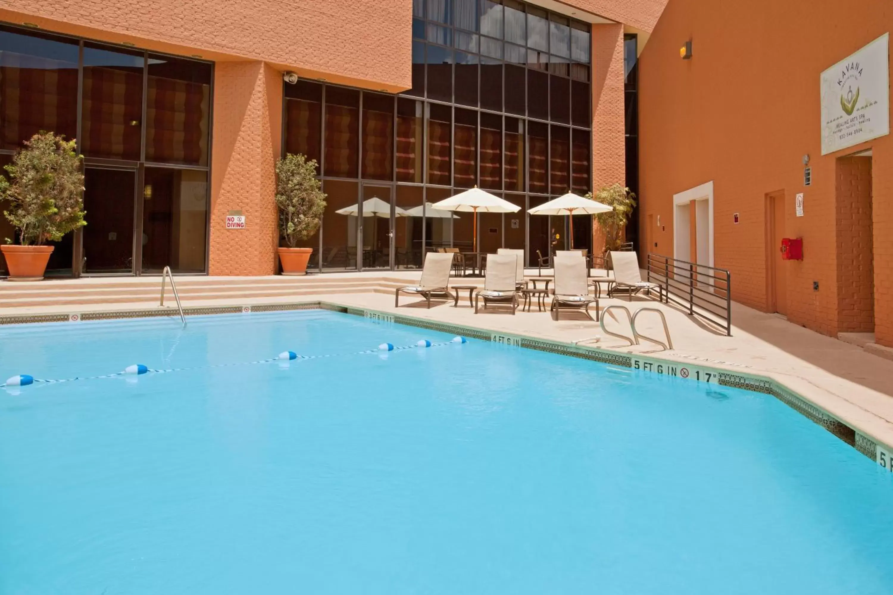 Swimming Pool in Crowne Plaza Houston Med Ctr-Galleria Area, an IHG Hotel