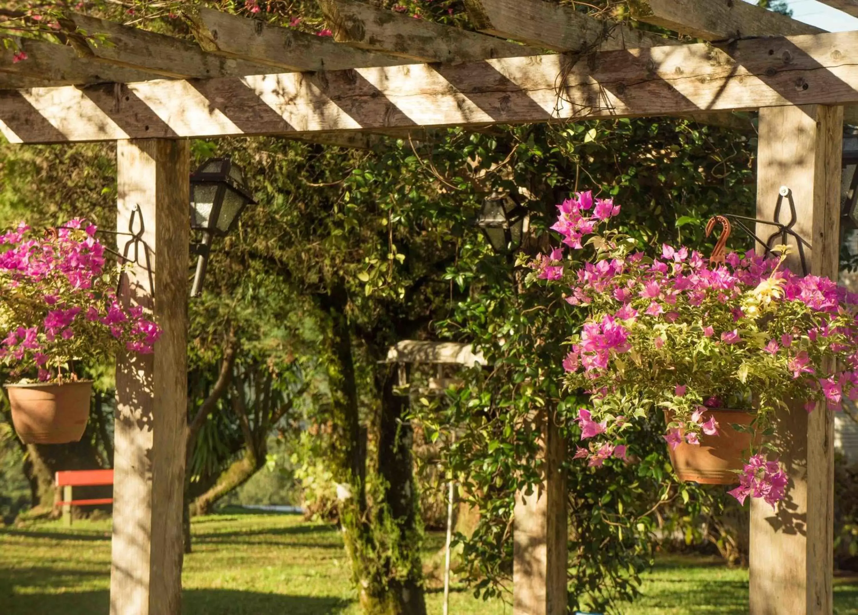 Garden in Hotel Petrópolis