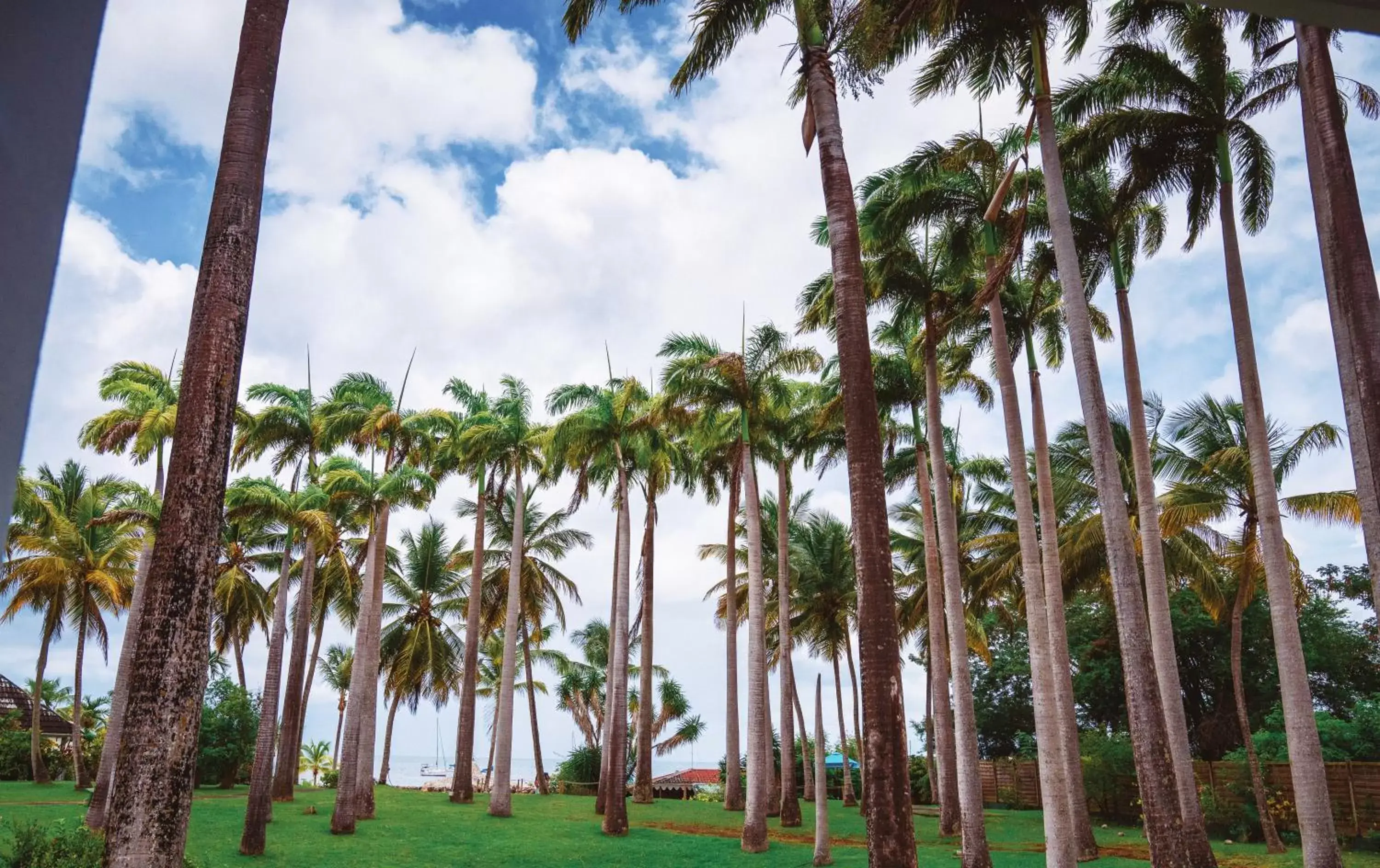 Hotel Bakoua Martinique