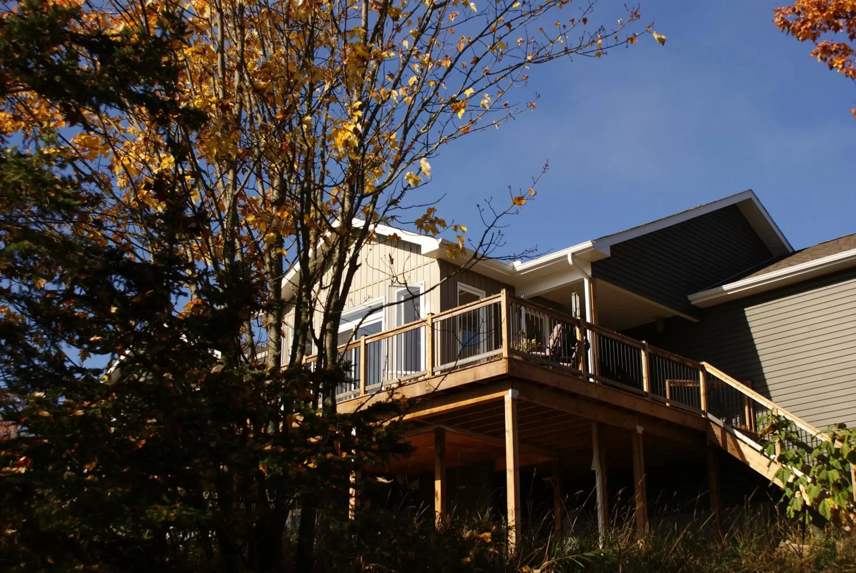 Property Building in Top of Algonquin Bed and Breakfast