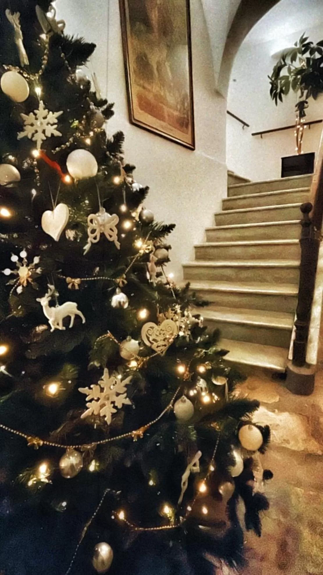 Facade/entrance in Palazzo Salìa