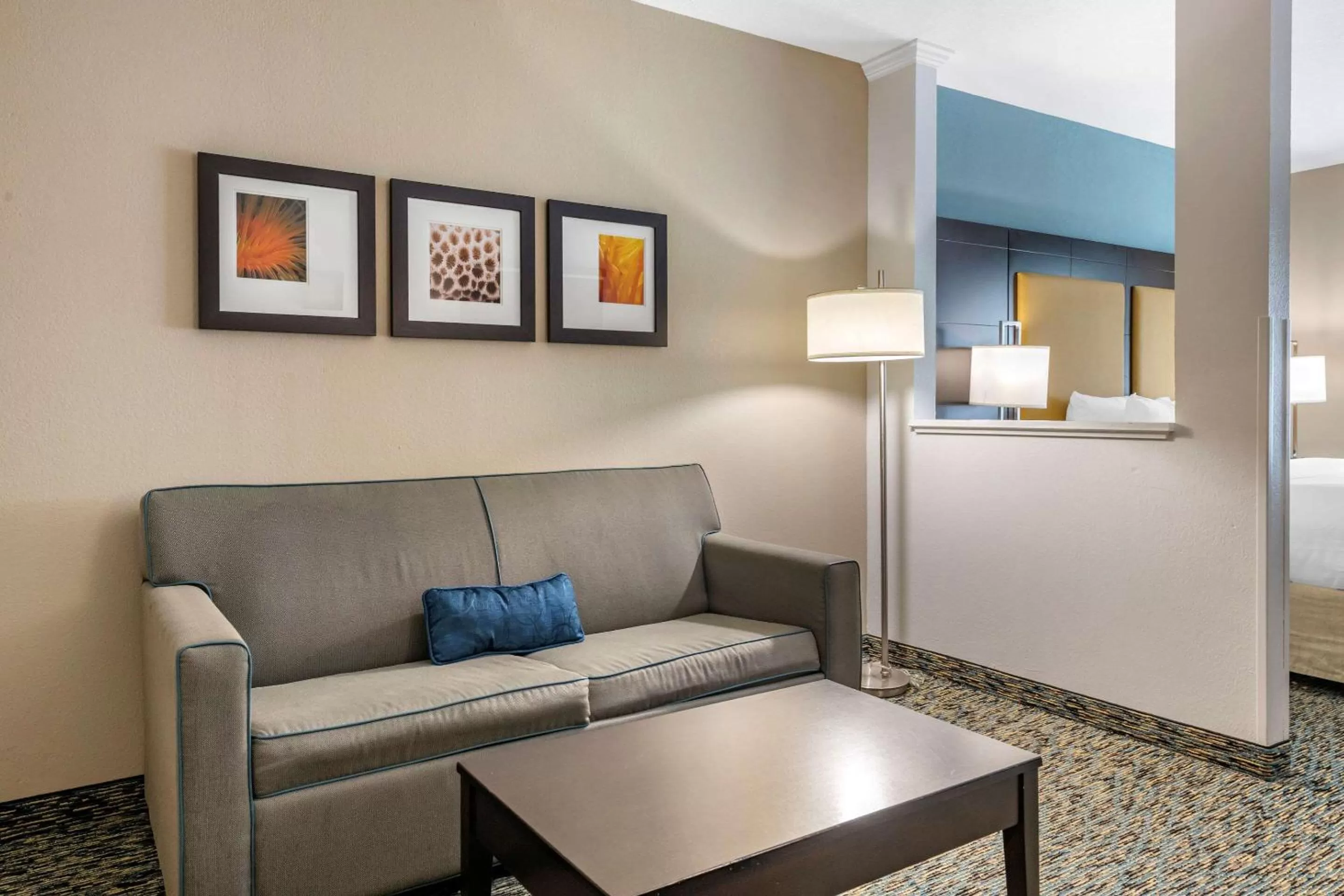 King Suite with Roll-In Shower - Accessible/Non-Smoking in Comfort Suites Fort Lauderdale Airport South & Cruise Port