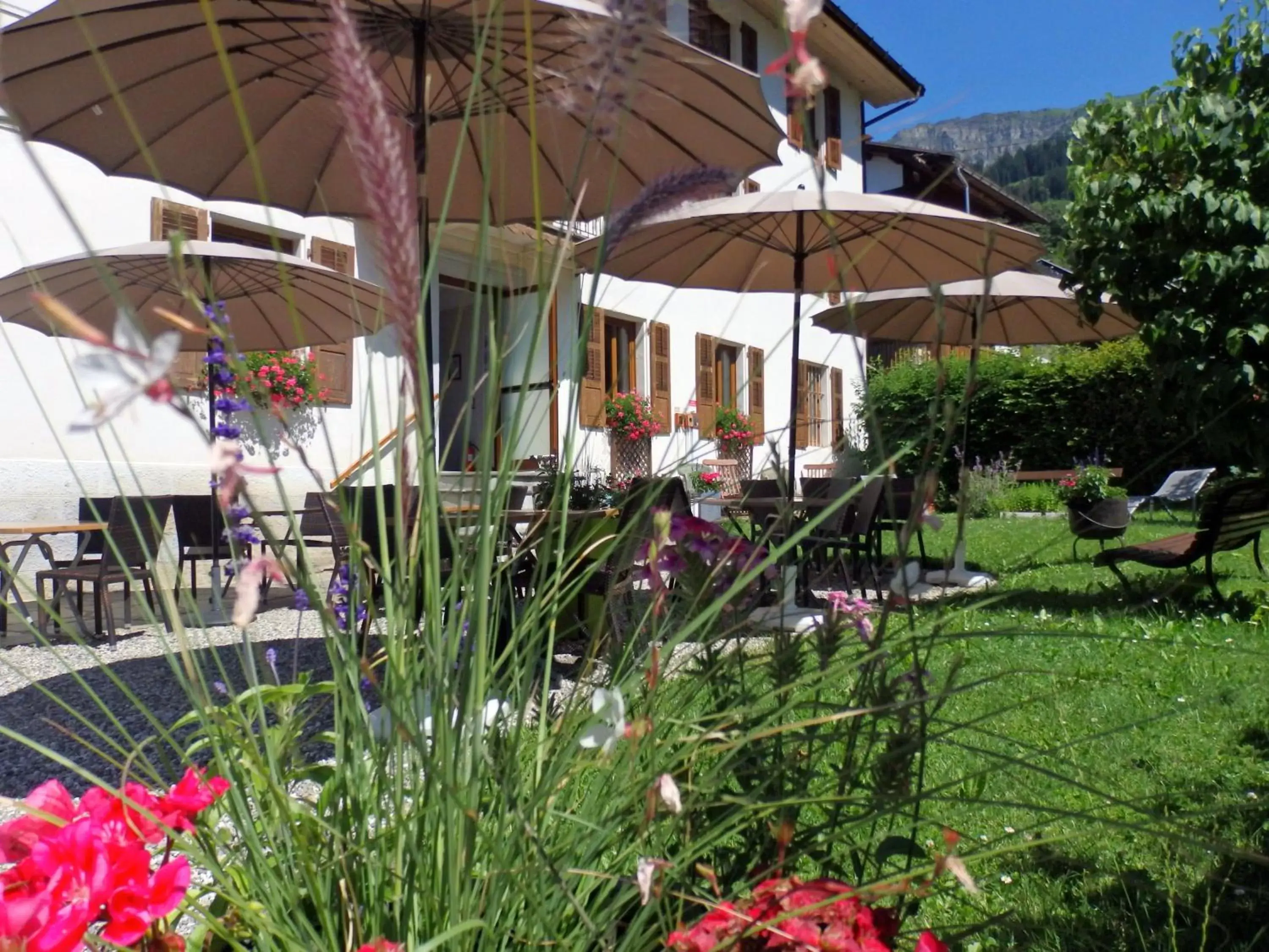 Patio in Hôtel Viallet