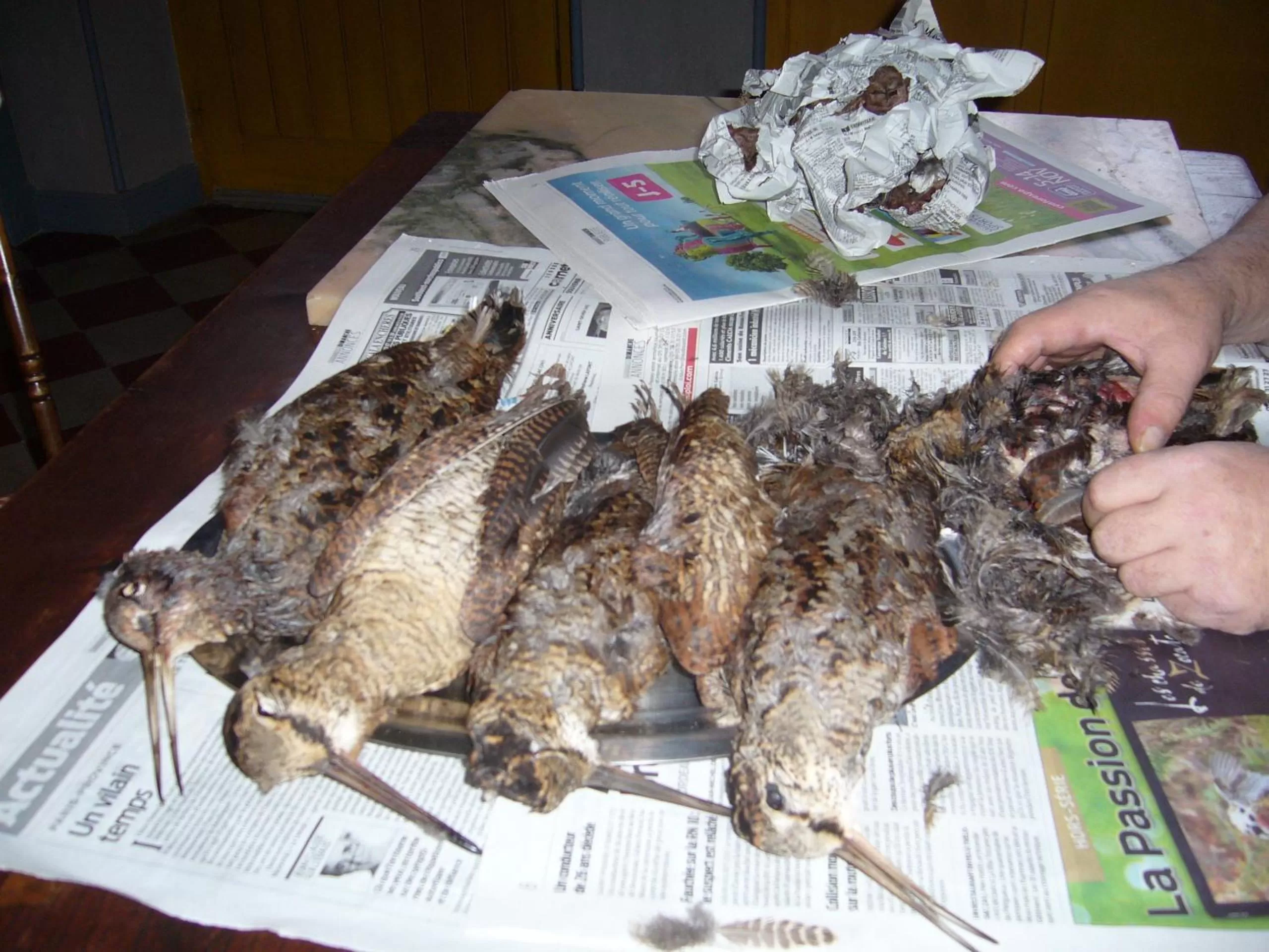 Food close-up in Chambres d'Hôtes Le Mas