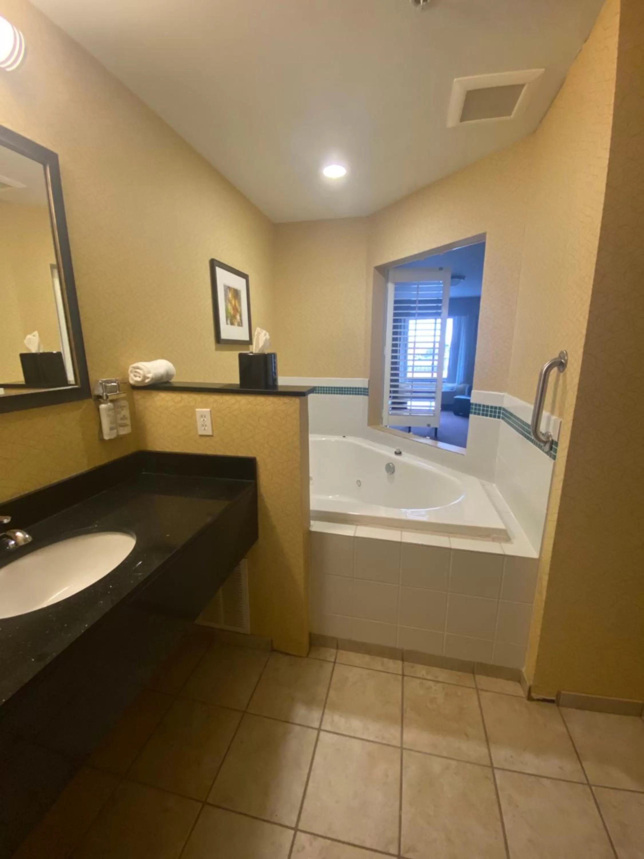 Holiday Inn Express and Suites Detroit North-Troy by IHG