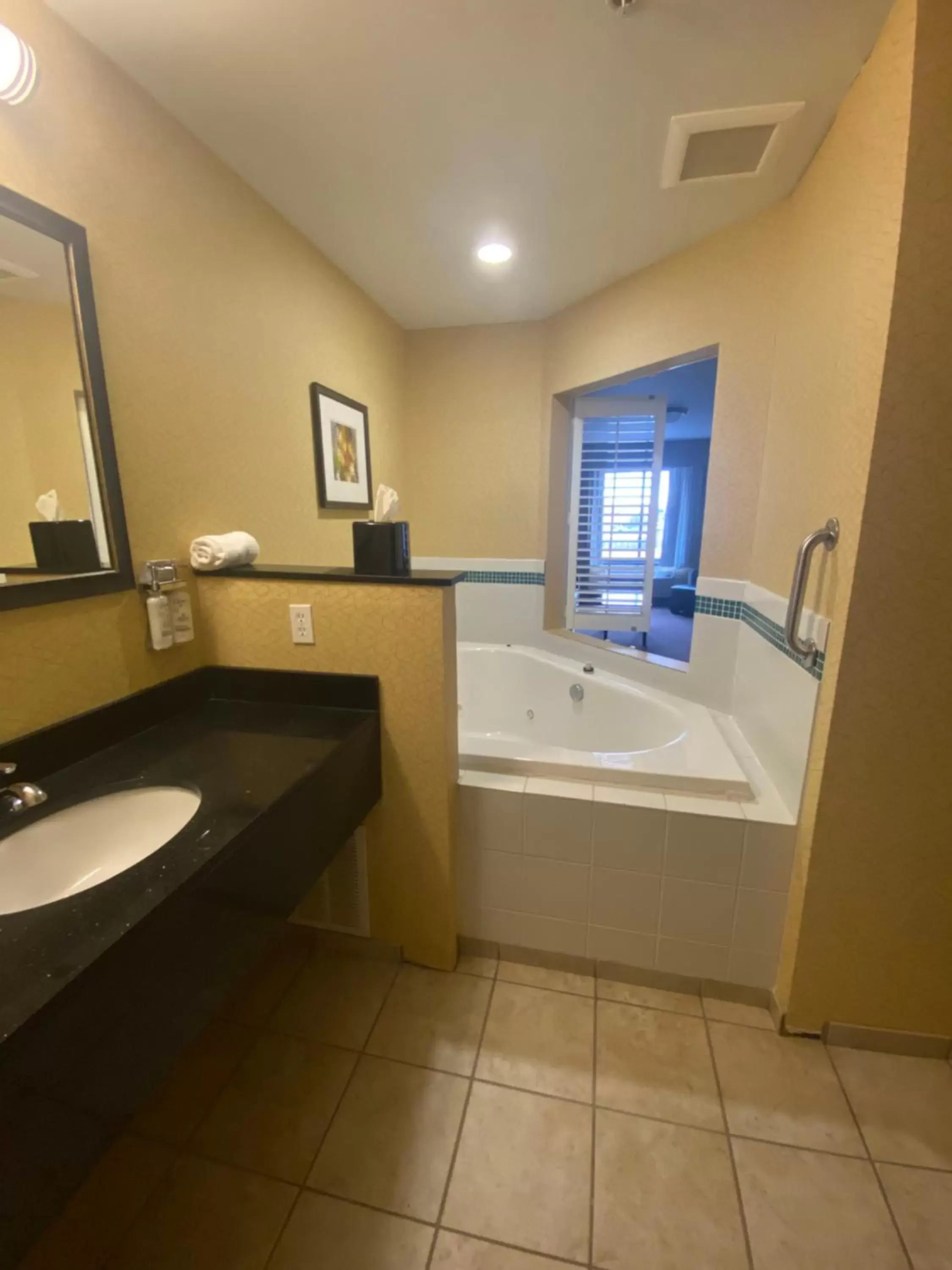 Bathroom in Holiday Inn Express and Suites Detroit North-Troy, an IHG Hotel