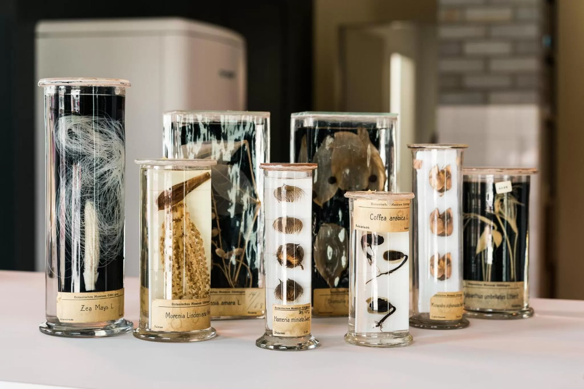 Decorative detail in FREIgeist Göttingen Innenstadt, A Member of Design Hotels