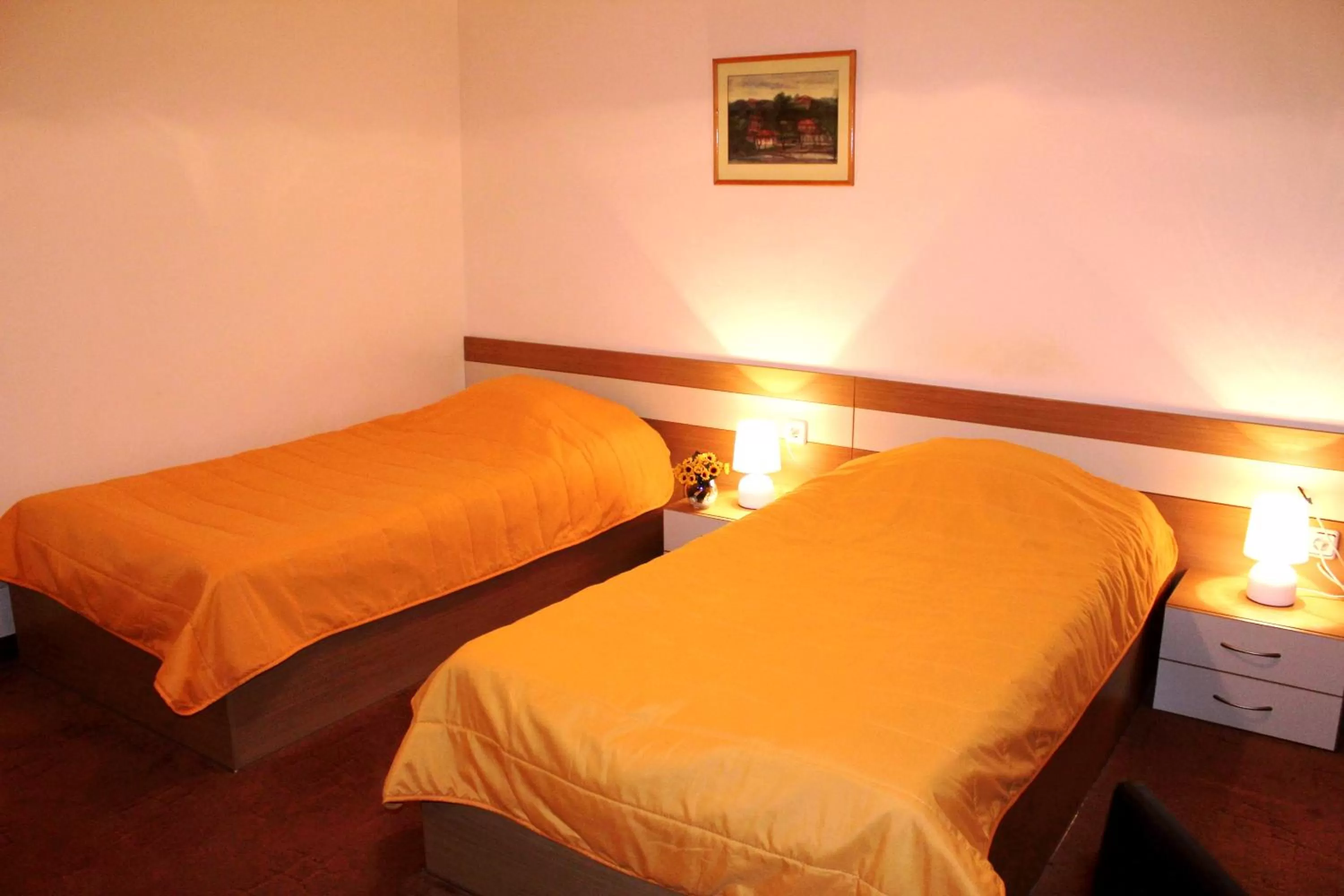 Bed in Hotel of Bulgarian Academy of Sciences