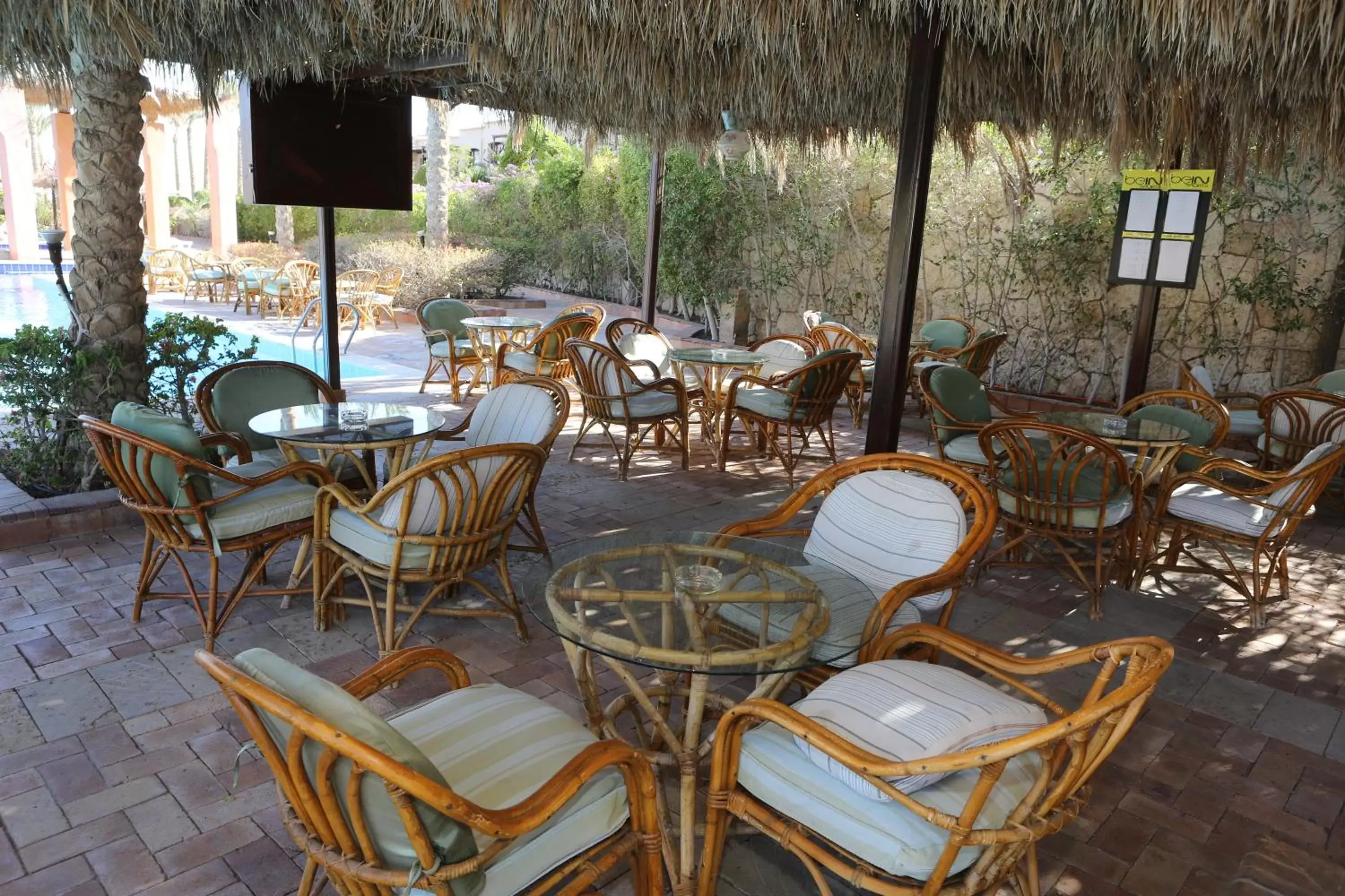 Lounge or bar, Restaurant/Places to Eat in Tamra Beach Resort