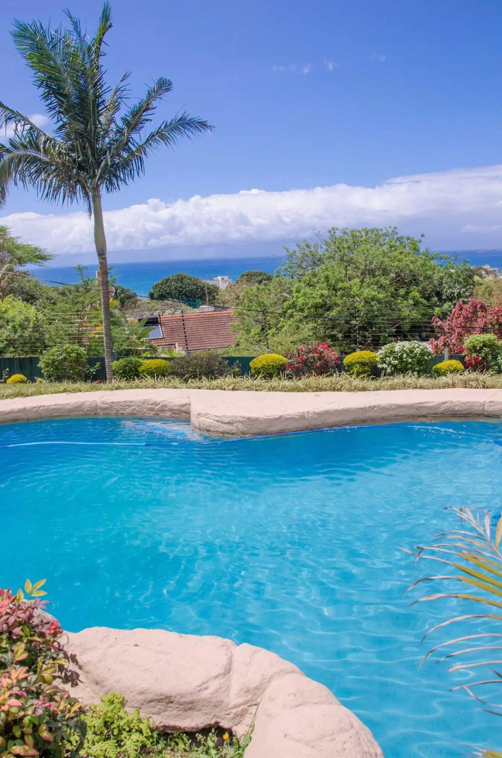 Swimming pool in Addis Bed and Breakfast