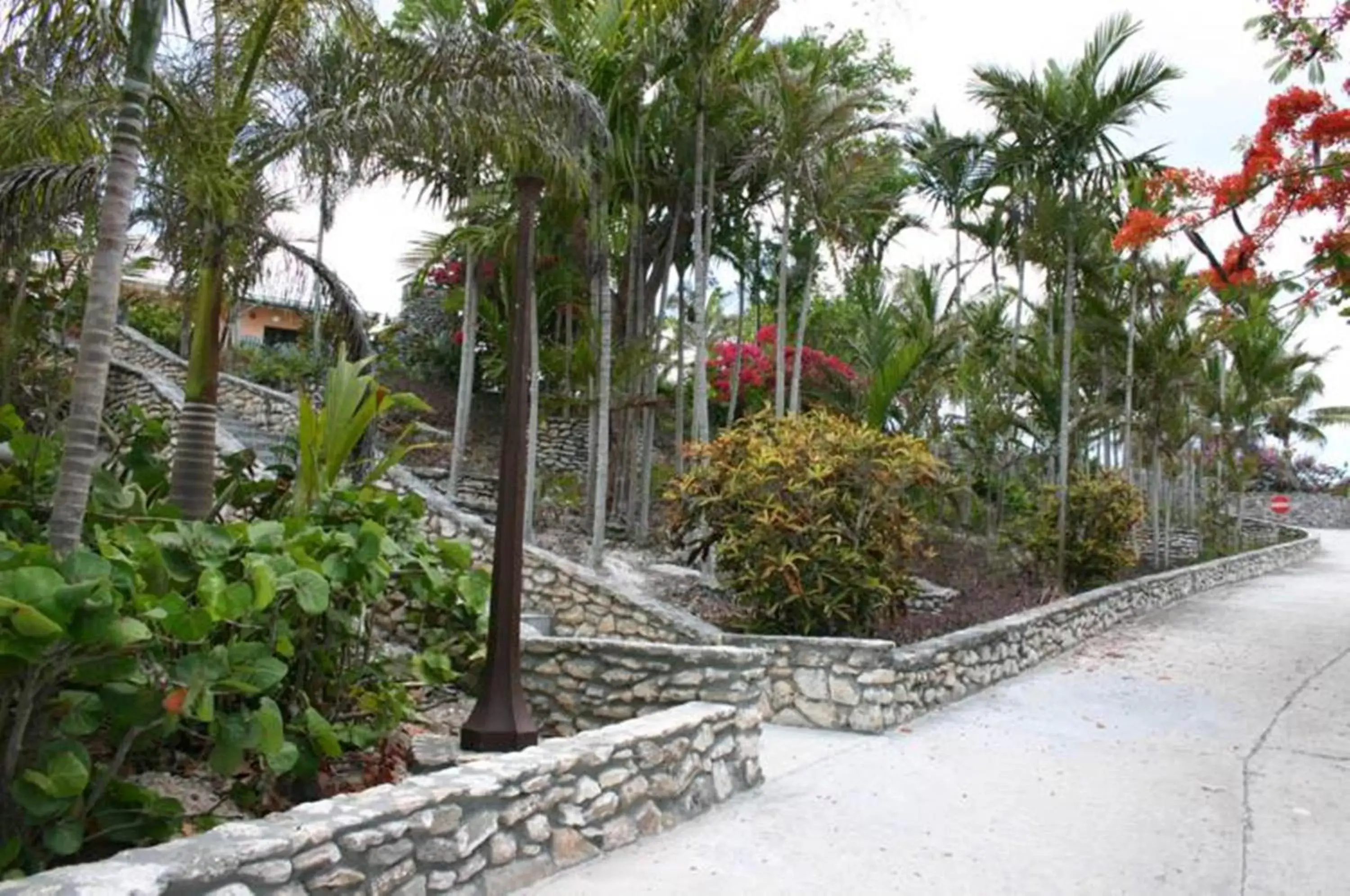 Garden in Orange Hill Beach Inn