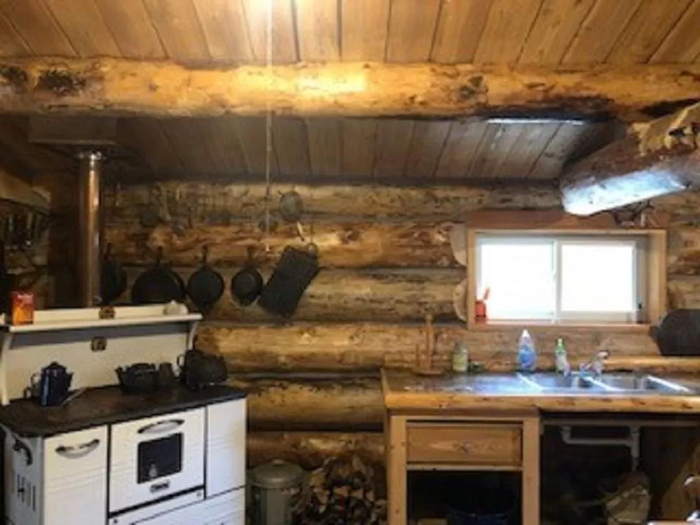 Kitchen or kitchenette in Drummond Island Resort