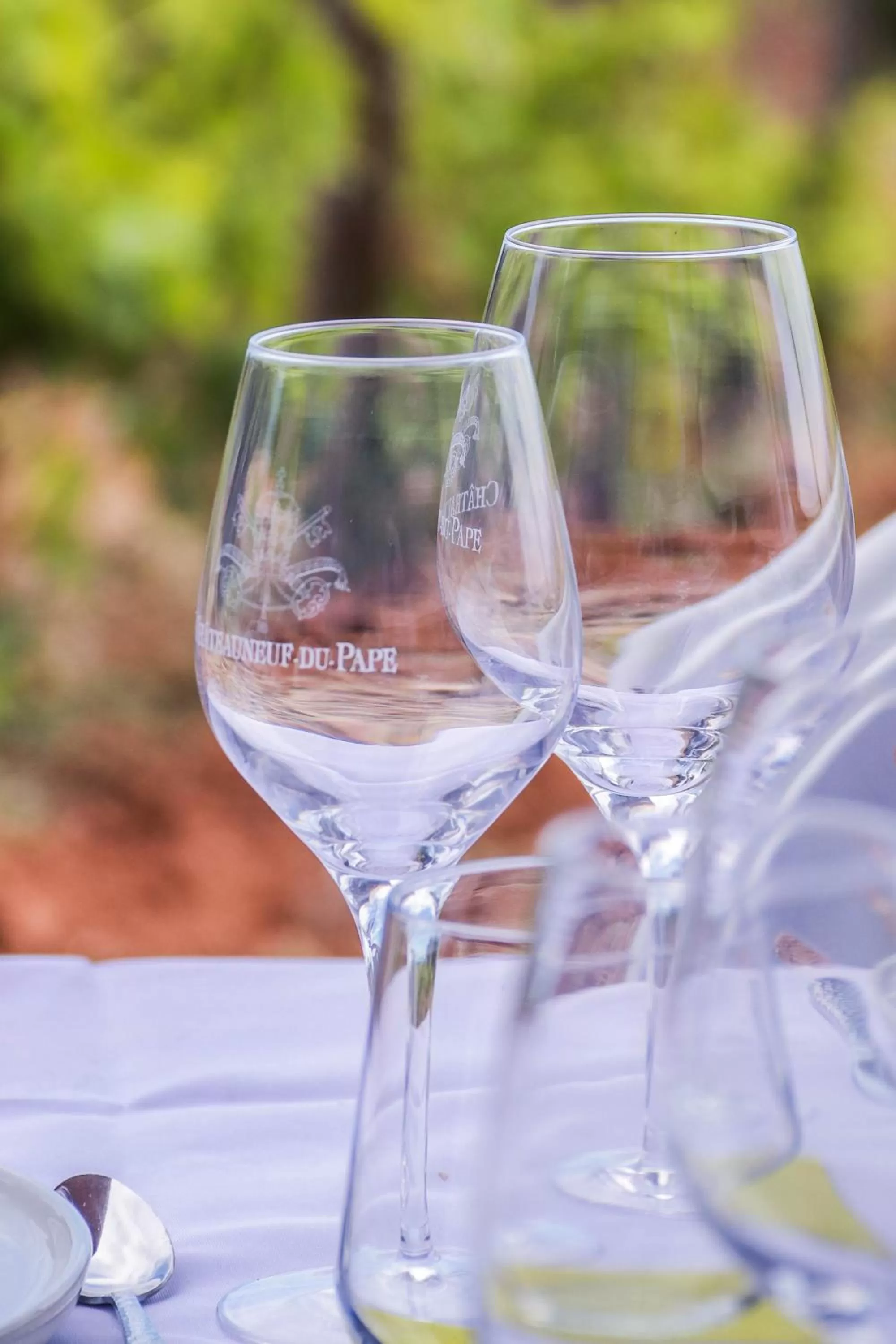 Garden in Chambres d'hôtes - Domaine de Cristia