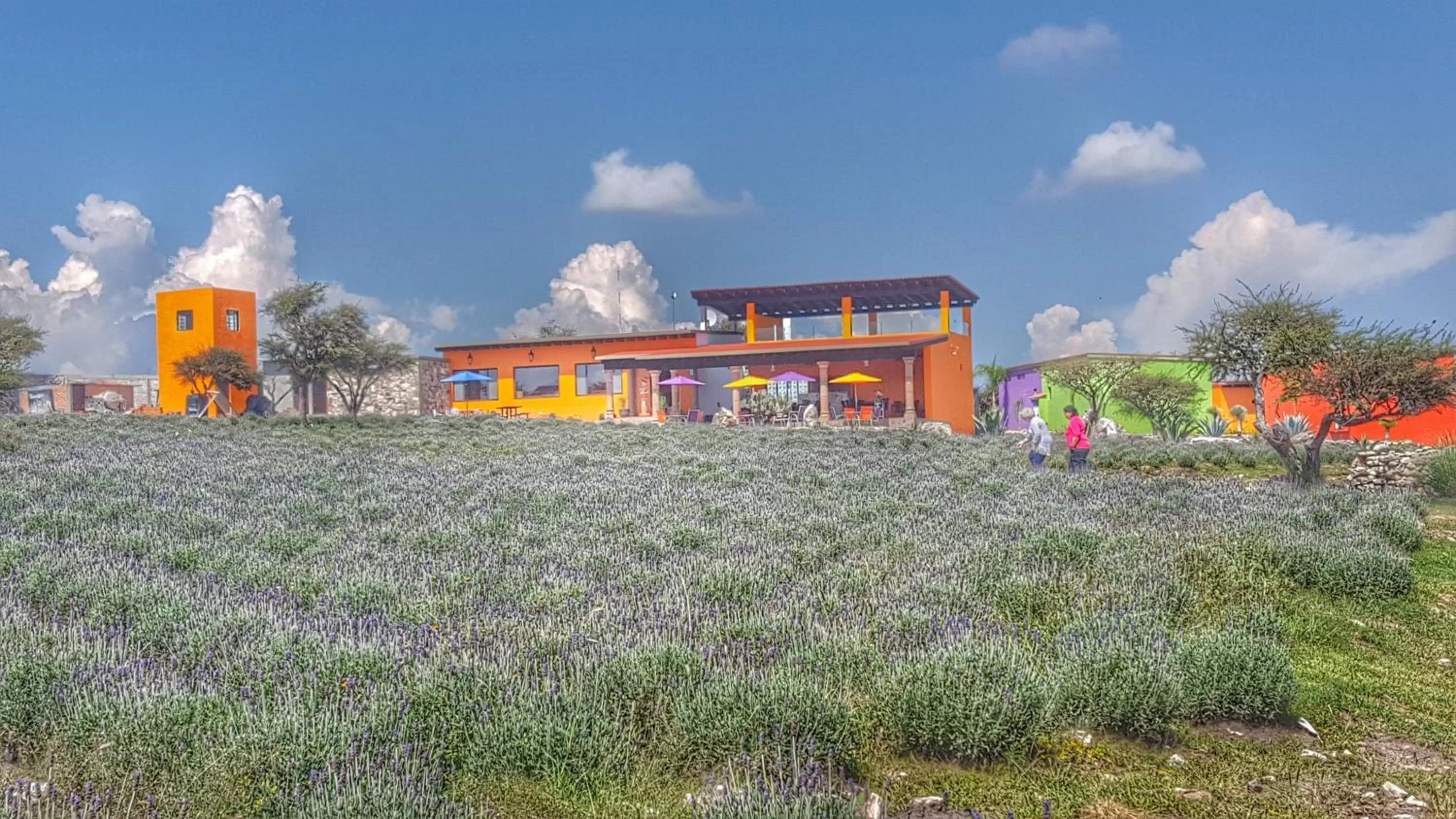 Natural landscape in El Macehual