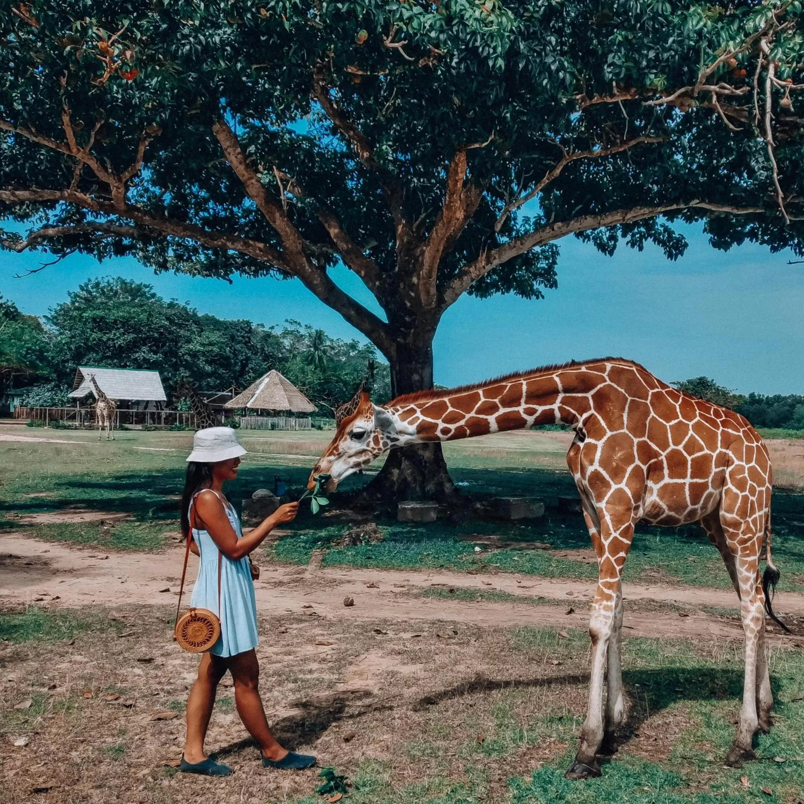 Off site in Cocovana Beach Resort