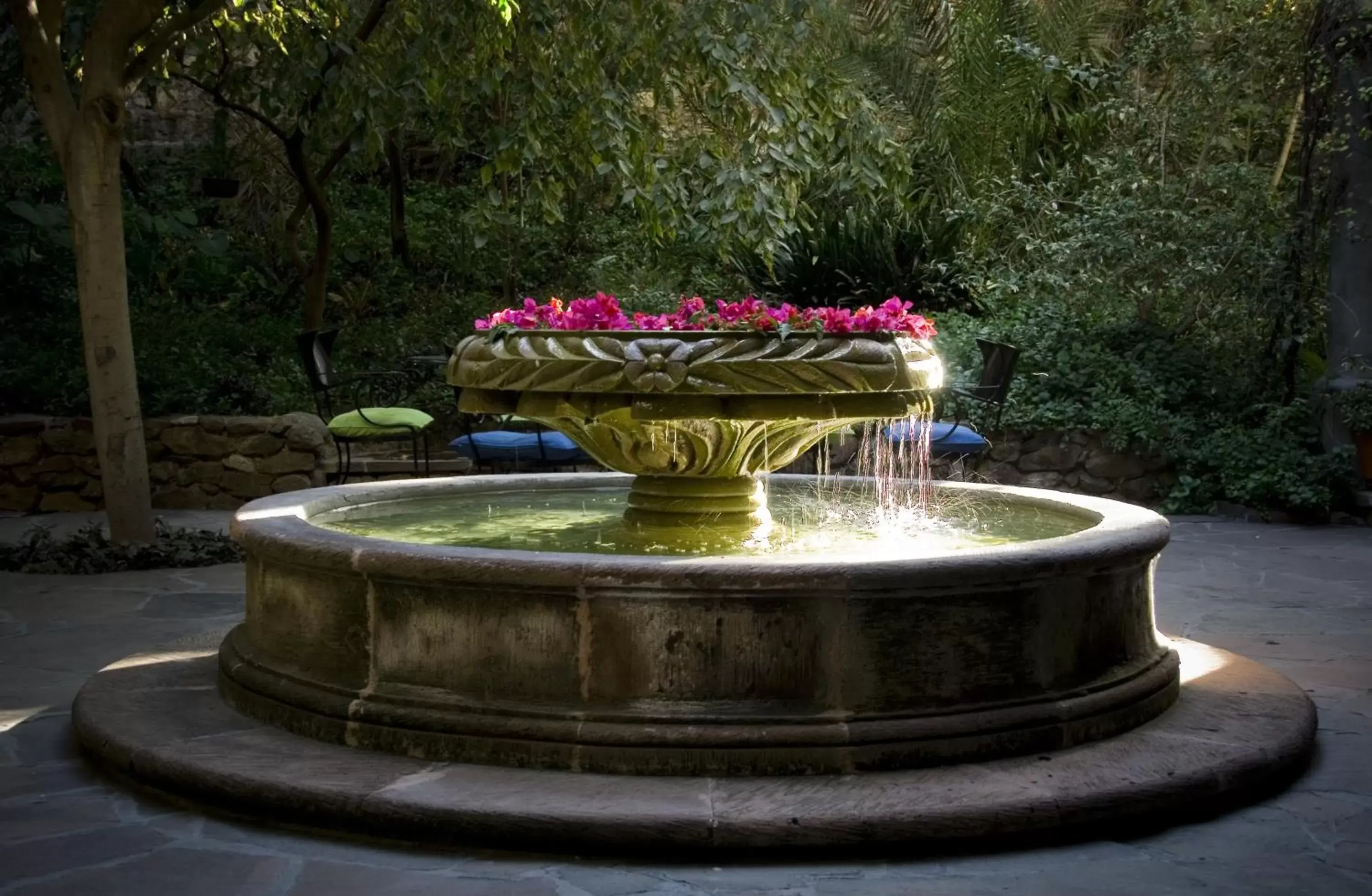 Garden in Casa Mision de San Miguel